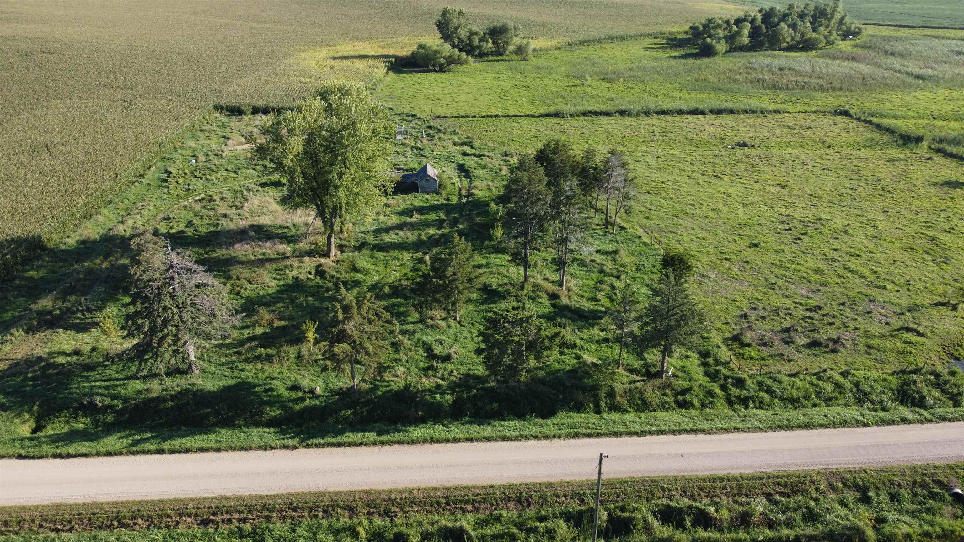 Pierce, Nebraska 68767, United States, ,Land,Active,204754