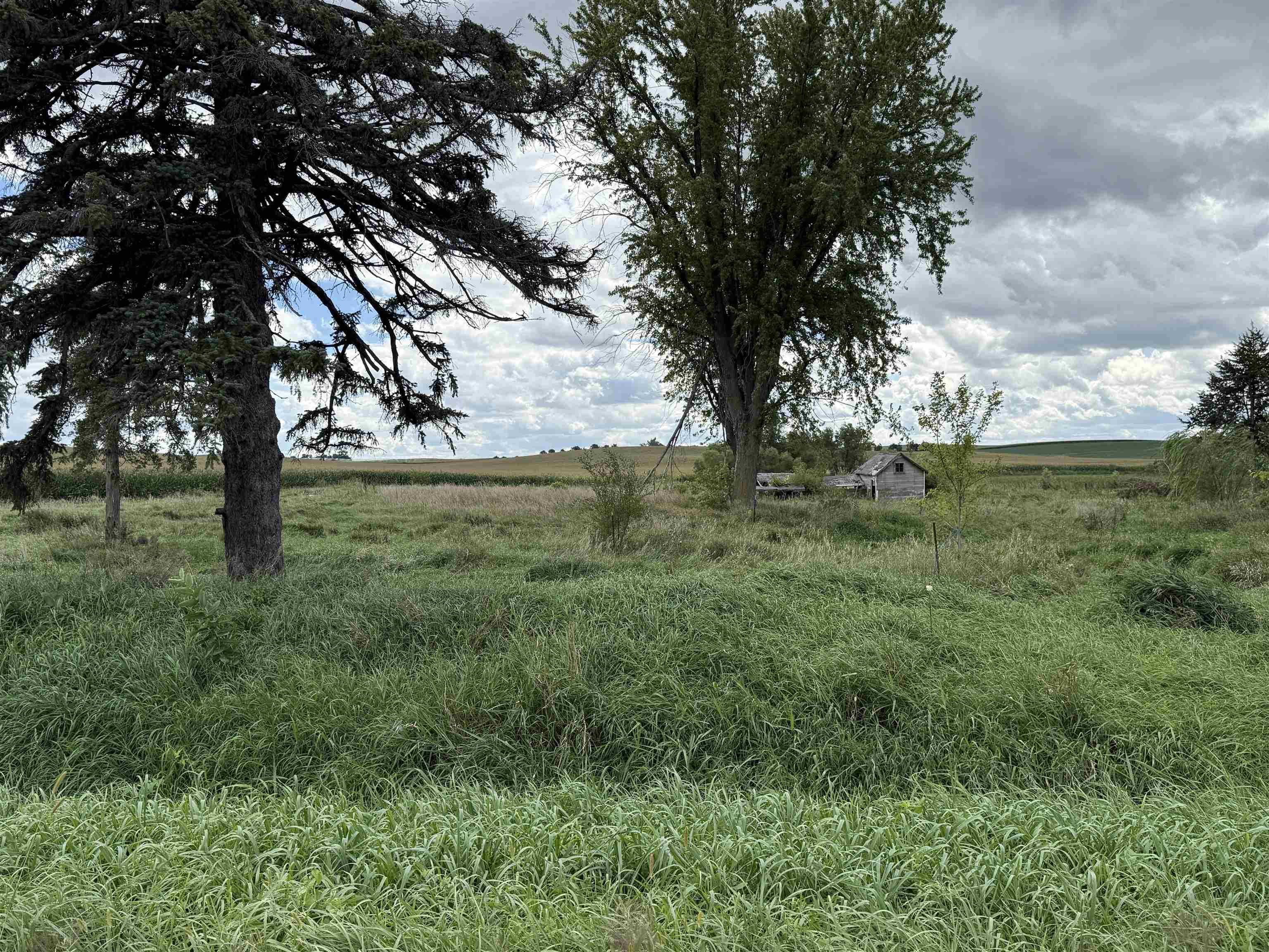 Pierce, Nebraska 68767, United States, ,Land,Active,204754