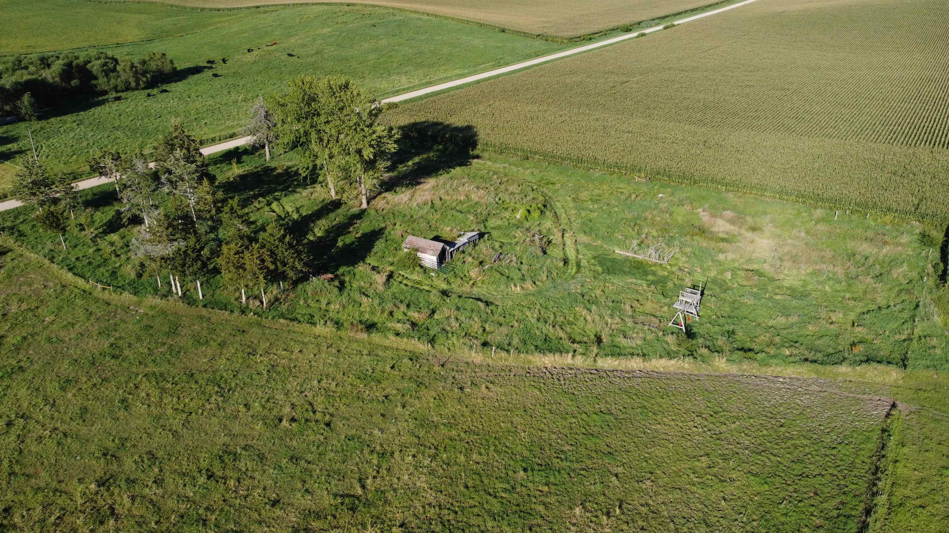 Pierce, Nebraska 68767, United States, ,Land,Active,204754