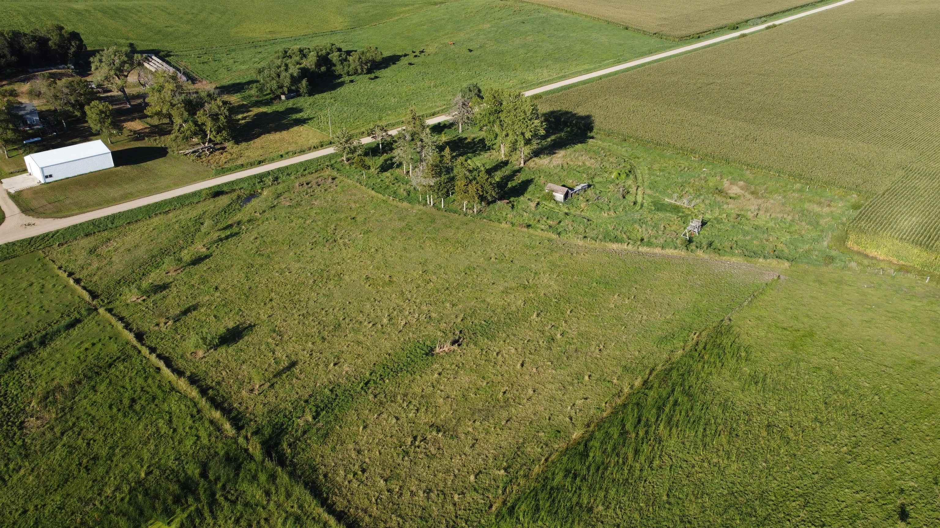 Pierce, Nebraska 68767, United States, ,Land,Active,204754