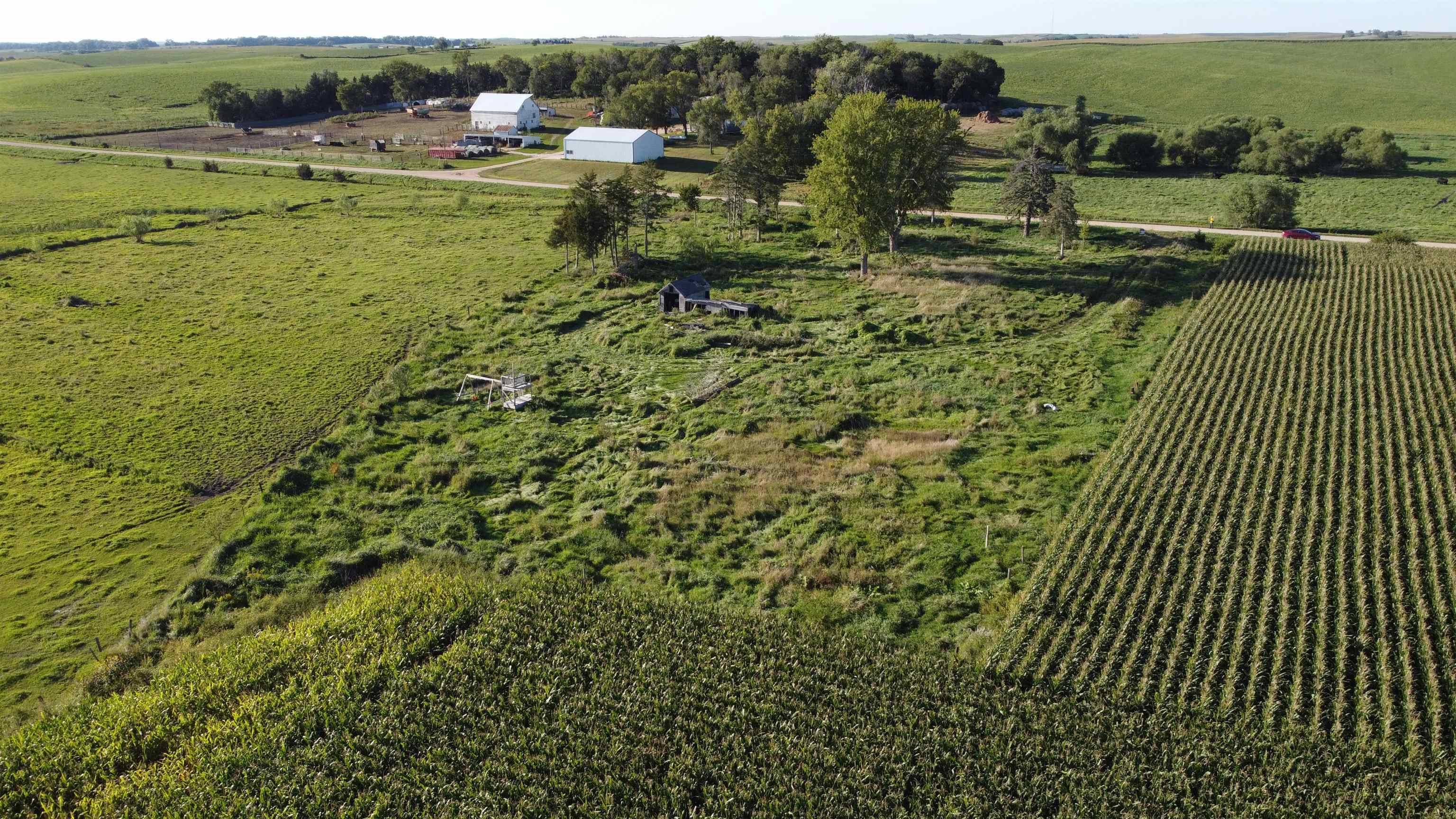 Pierce, Nebraska 68767, United States, ,Land,Active,204754