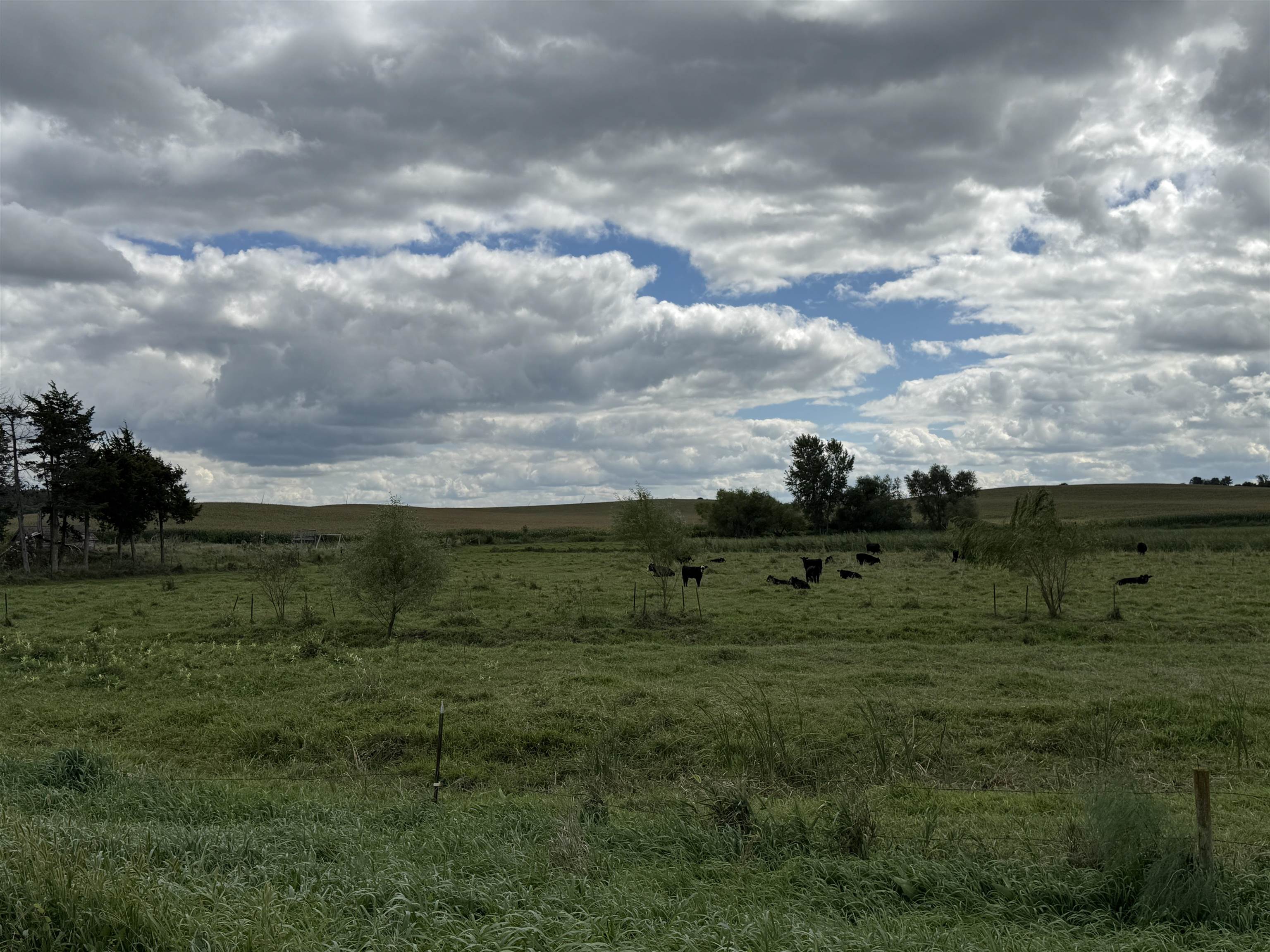 Pierce, Nebraska 68767, United States, ,Land,Active,204754