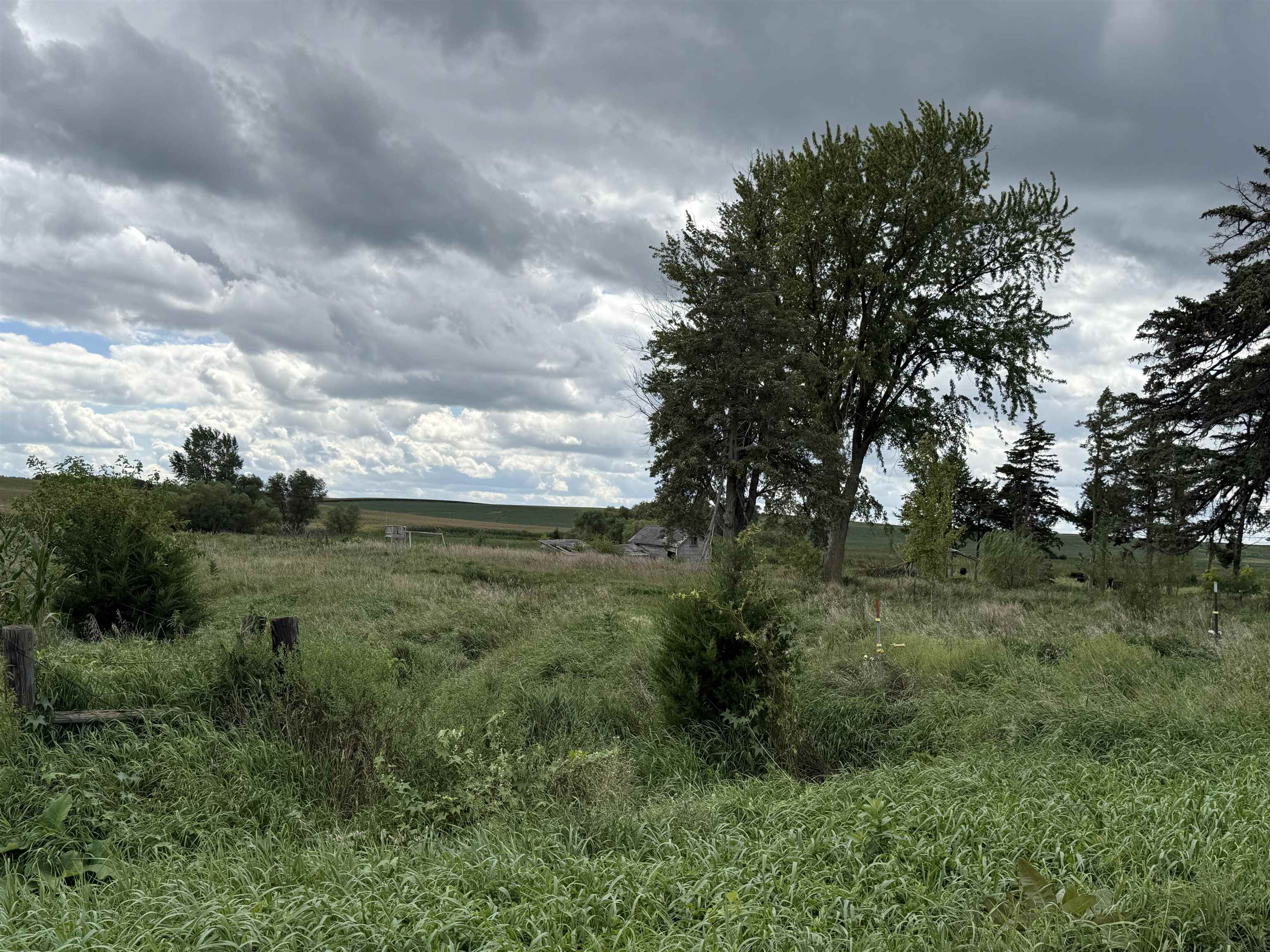 Pierce, Nebraska 68767, United States, ,Land,Active,204754