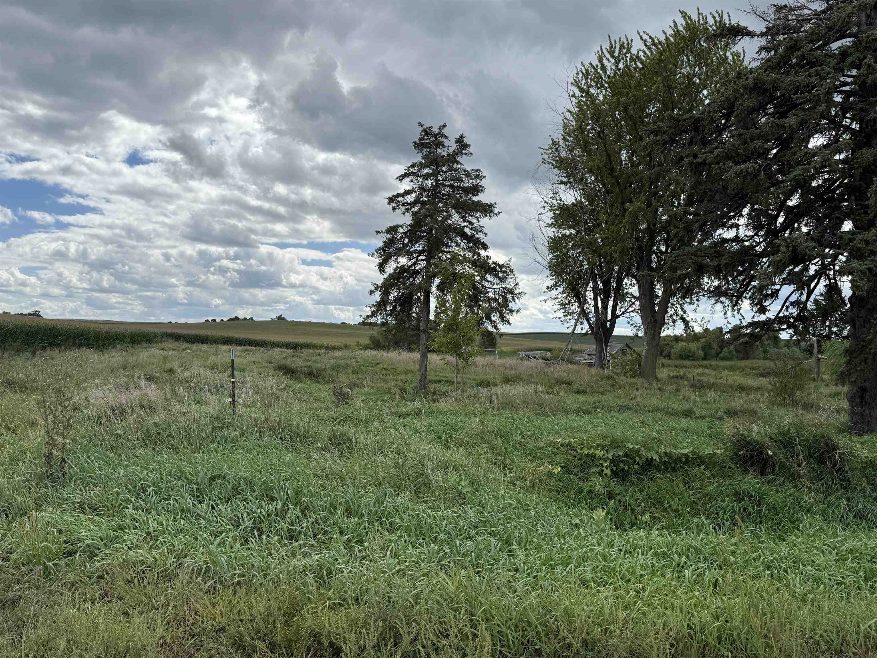 Pierce, Nebraska 68767, United States, ,Land,Active,204754