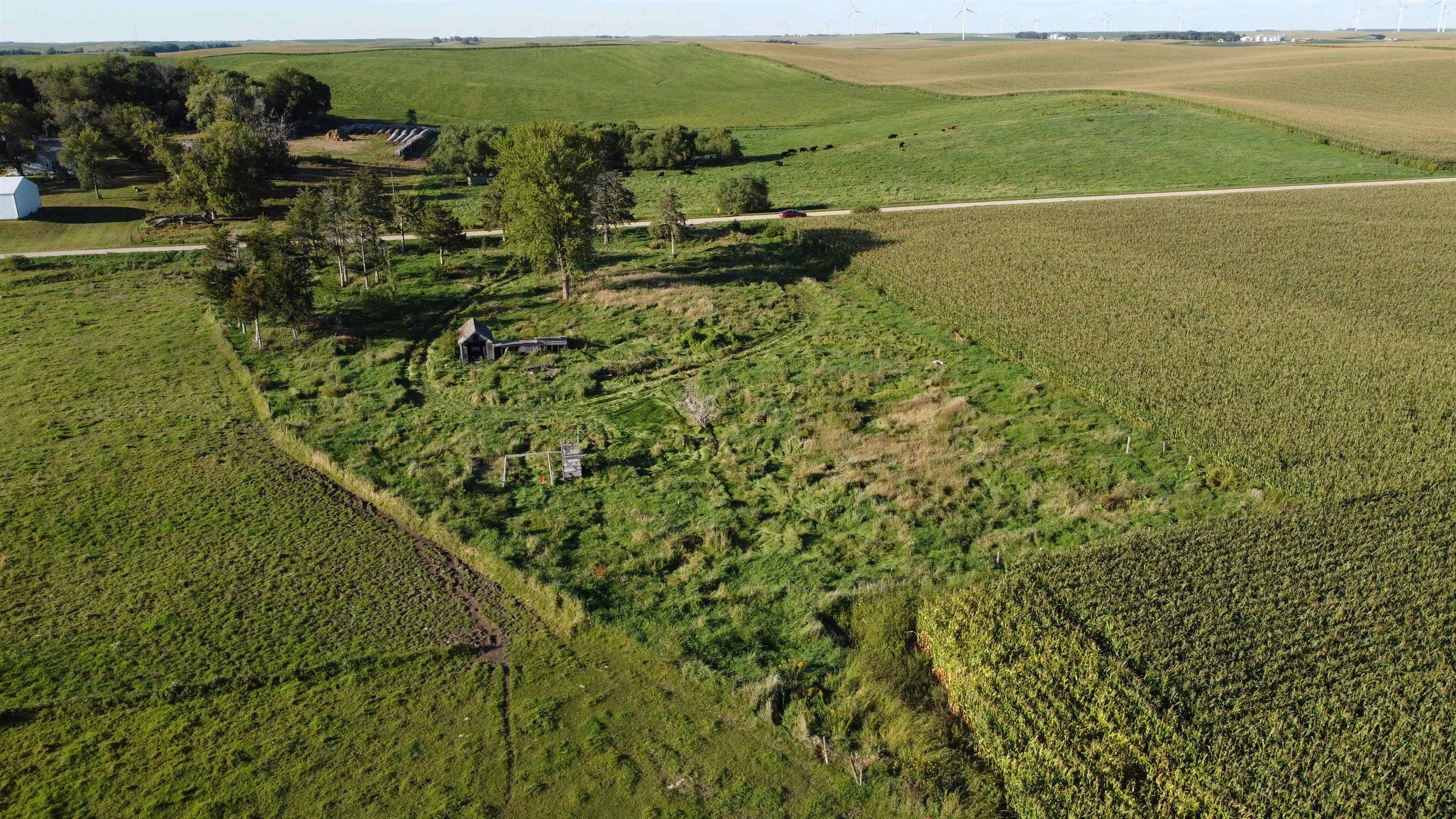 Pierce, Nebraska 68767, United States, ,Land,Active,204754