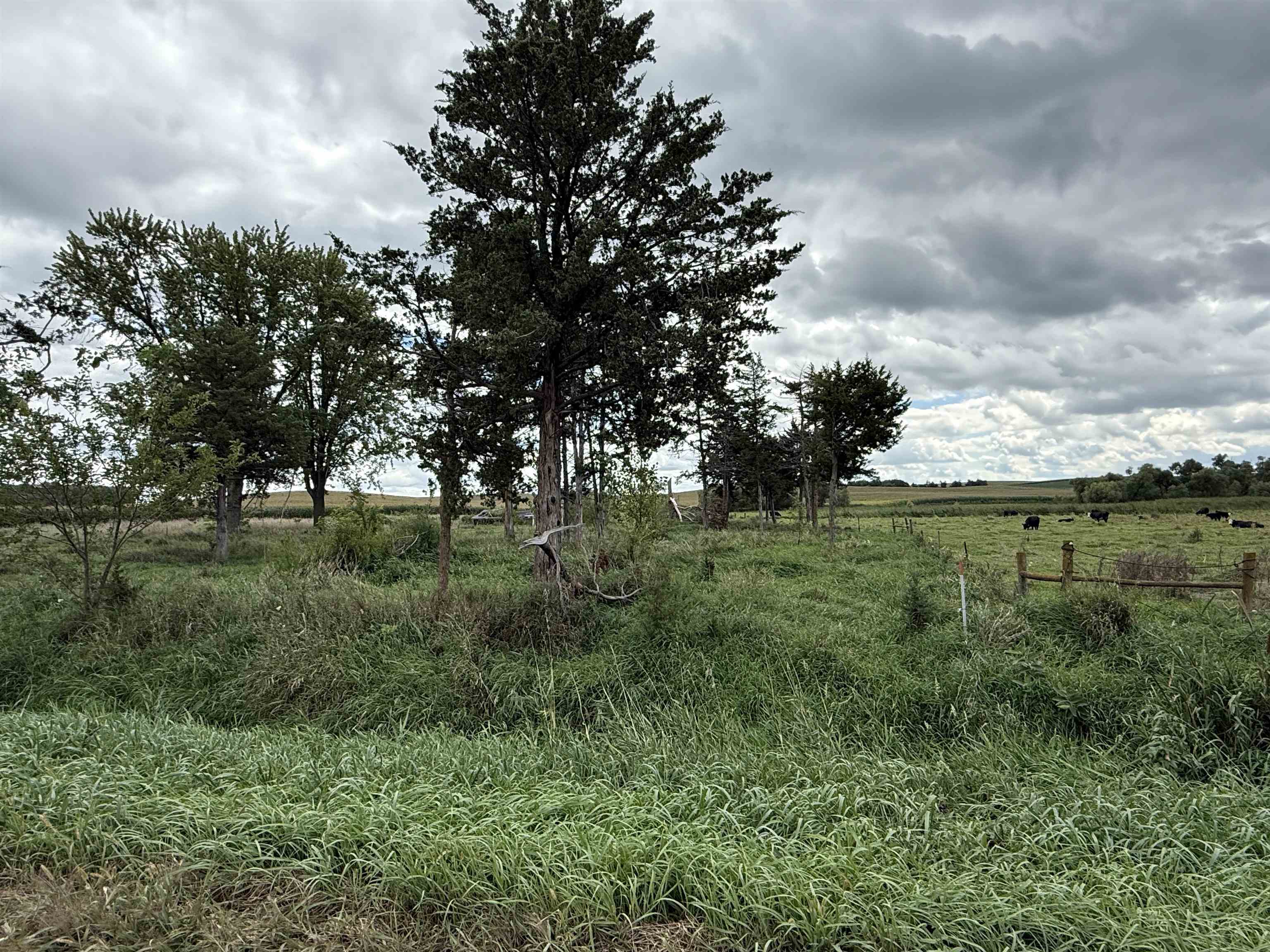 Pierce, Nebraska 68767, United States, ,Land,Active,204754