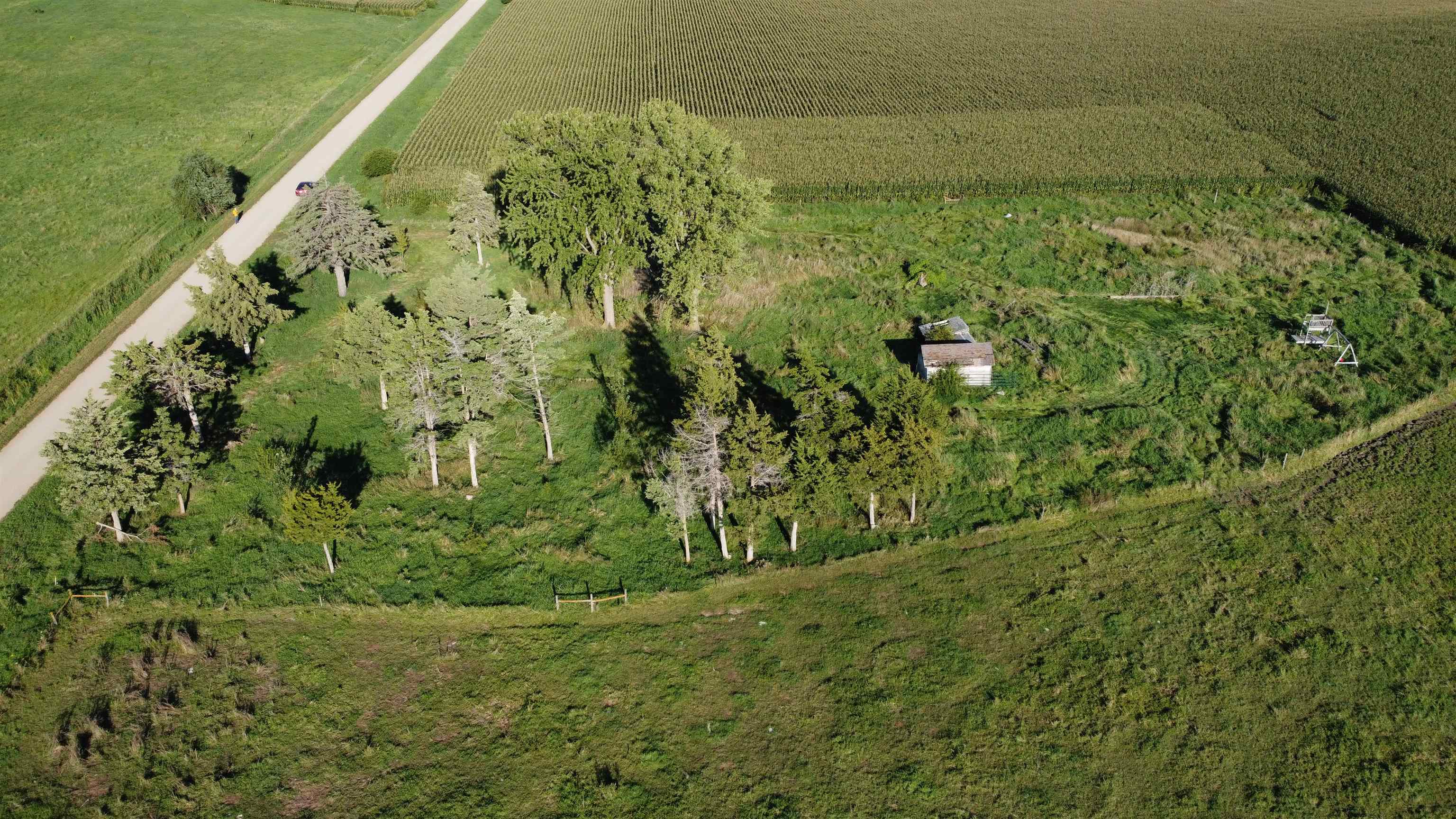 Pierce, Nebraska 68767, United States, ,Land,Active,204754