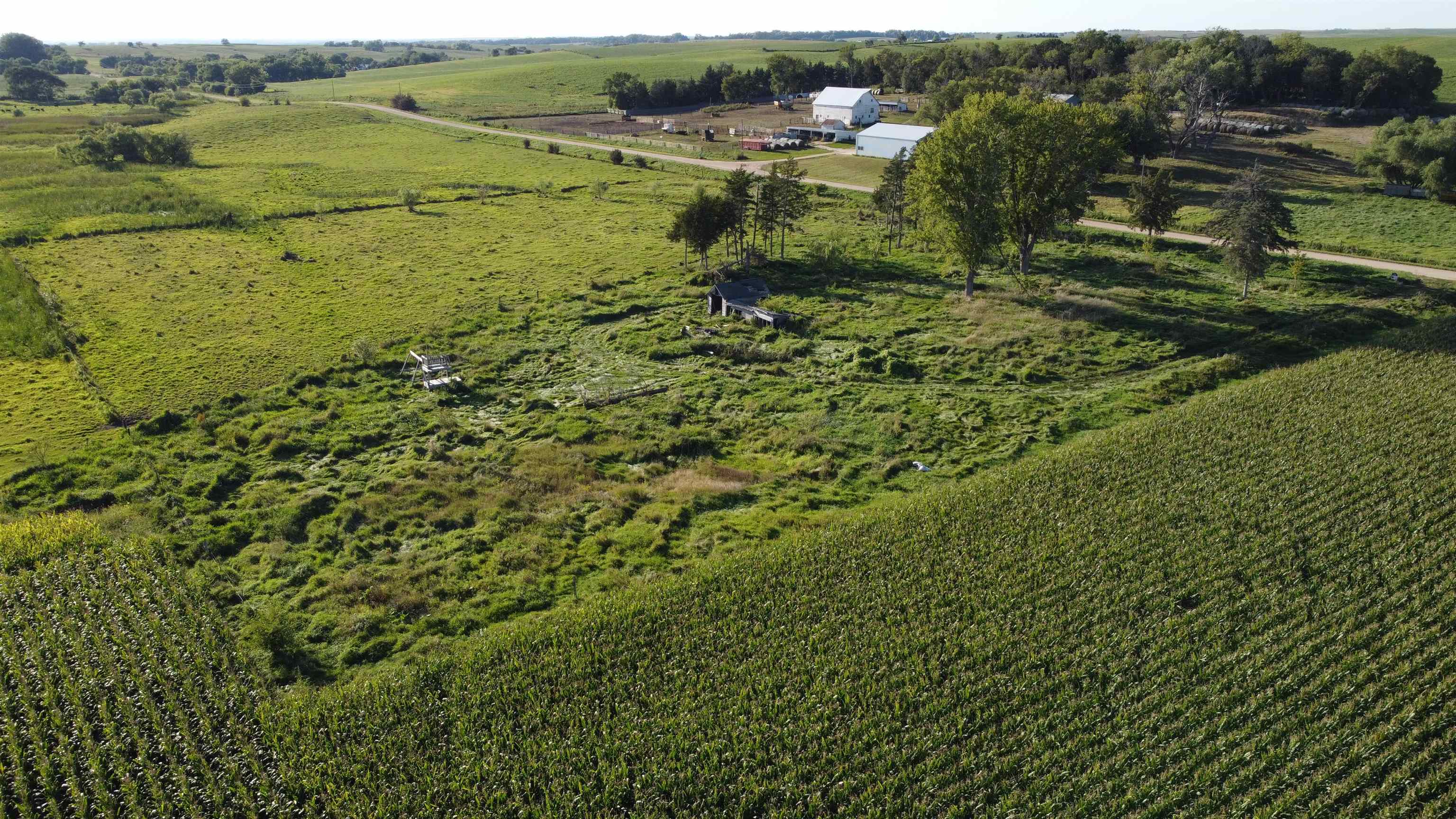 Pierce, Nebraska 68767, United States, ,Land,Active,204754