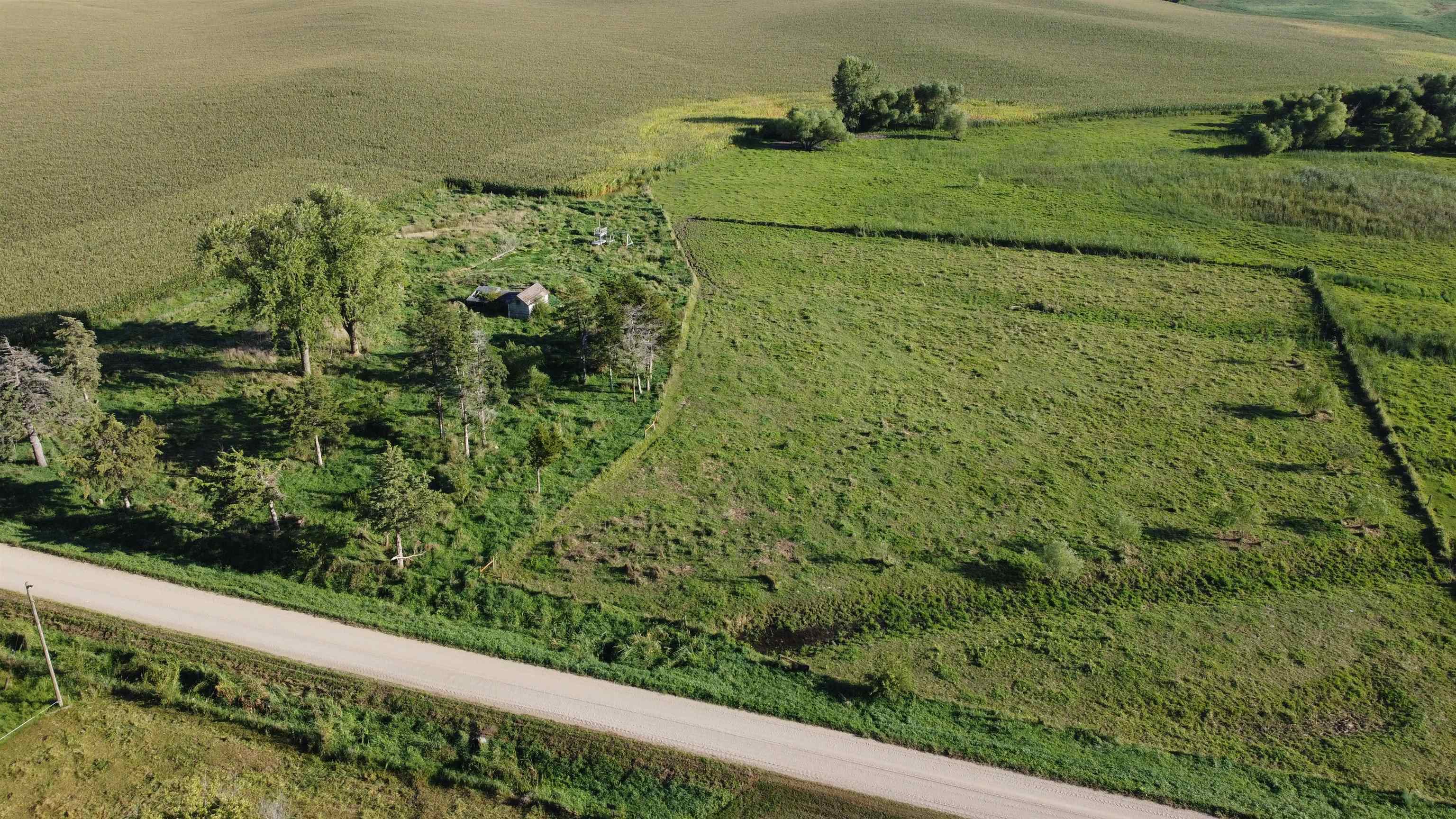 Pierce, Nebraska 68767, United States, ,Land,Active,204754