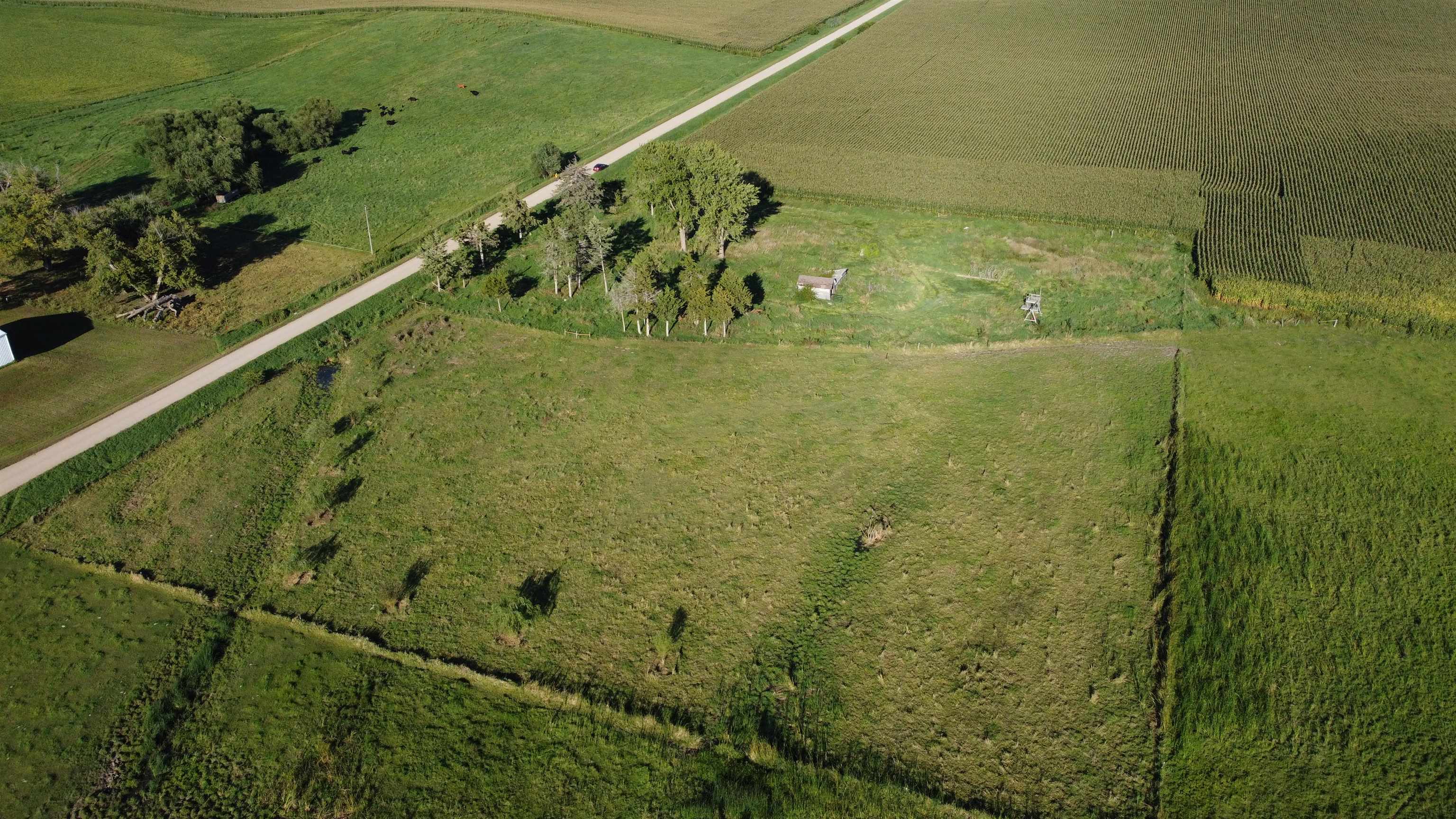 Pierce, Nebraska 68767, United States, ,Land,Active,204754