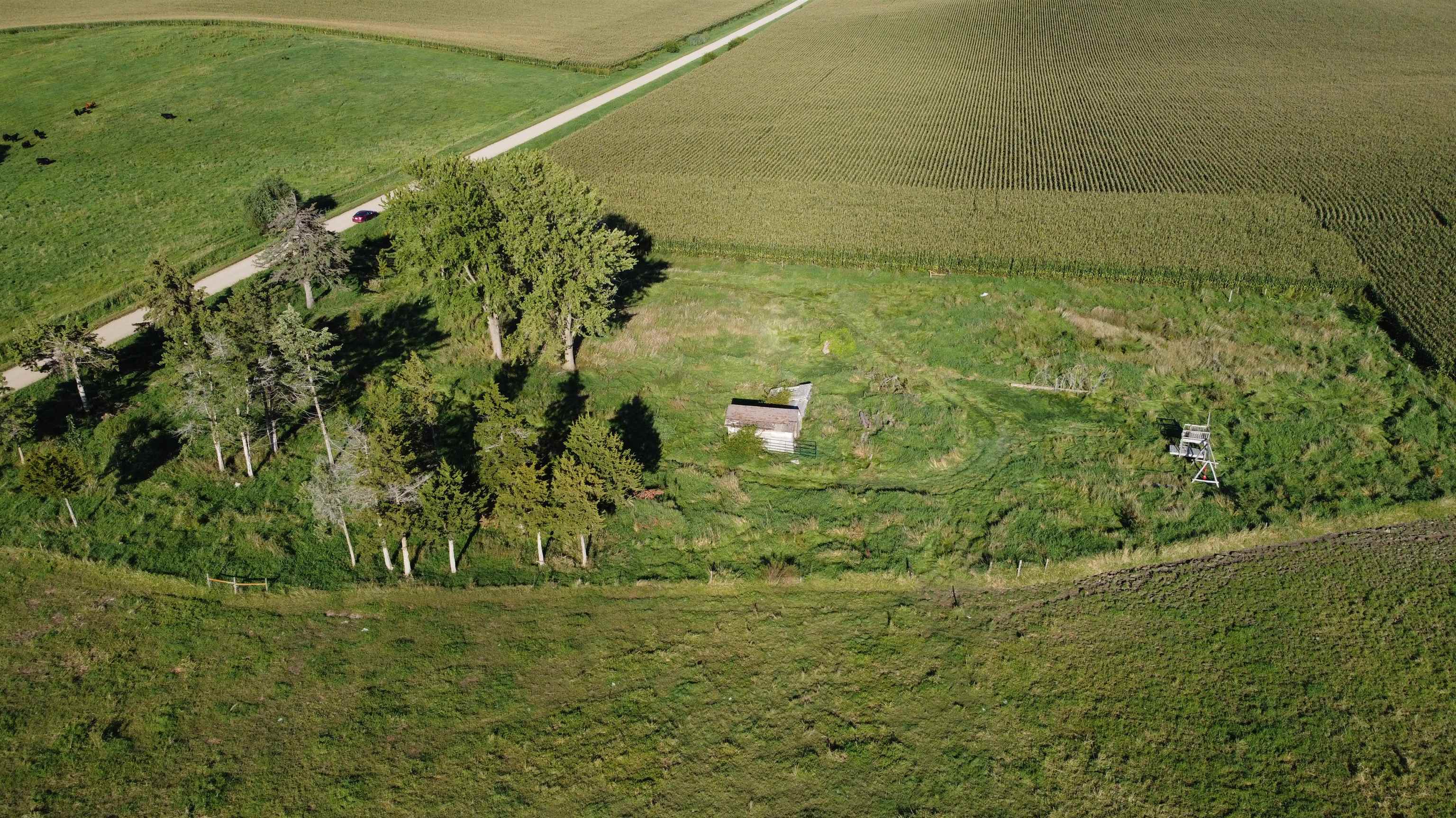 Pierce, Nebraska 68767, United States, ,Land,Active,204754