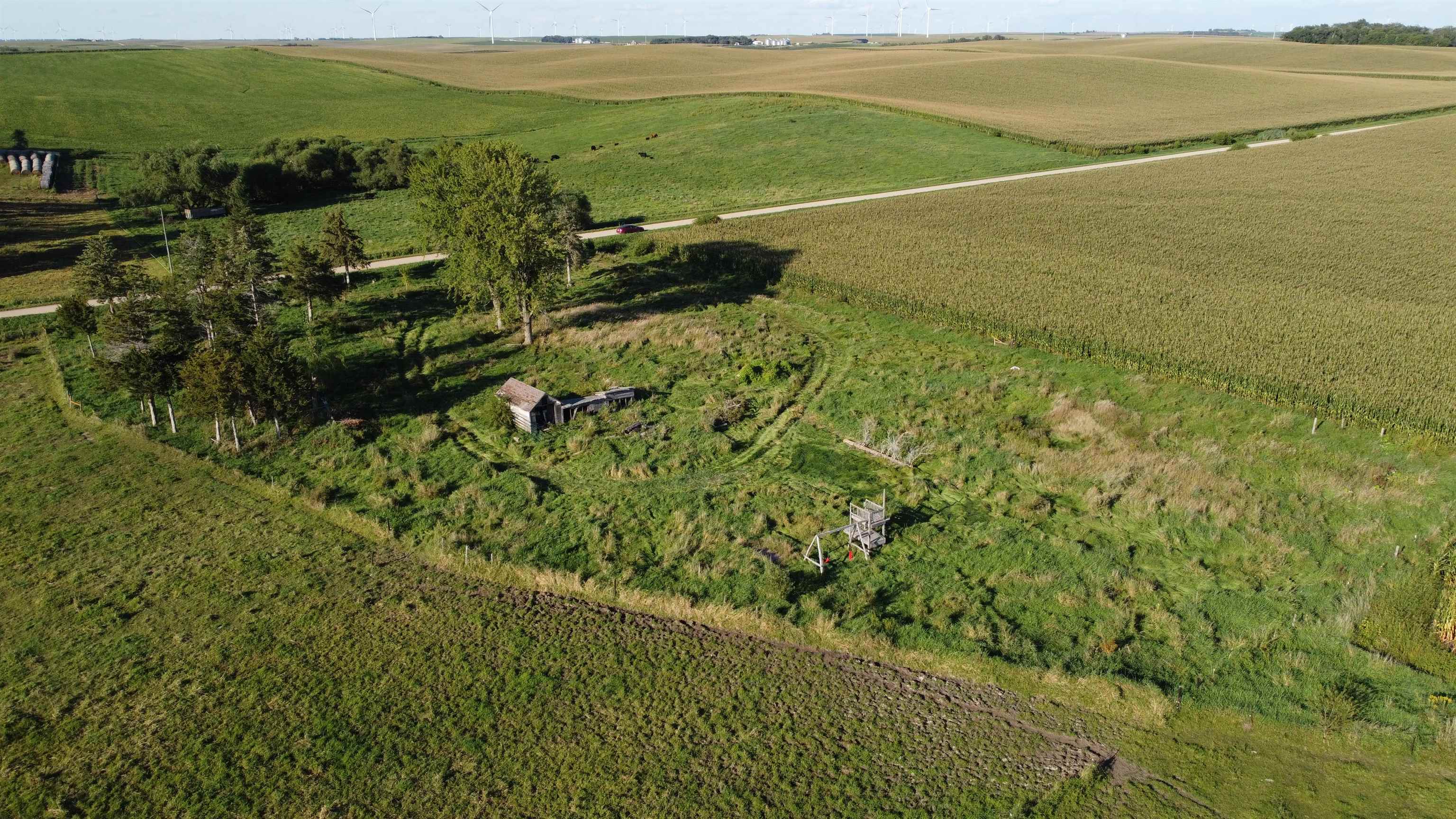 Pierce, Nebraska 68767, United States, ,Land,Active,204754