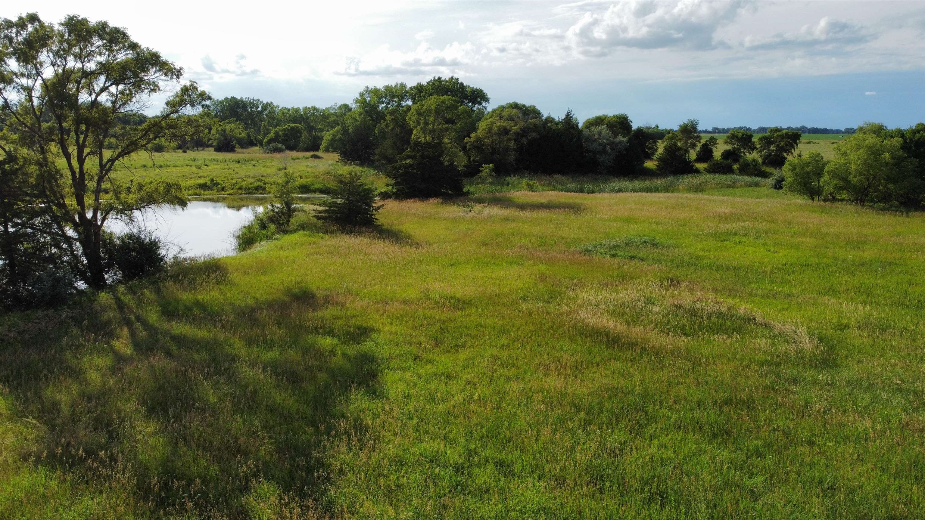 Pierce, Nebraska 68767, United States, ,Land,Active,70411