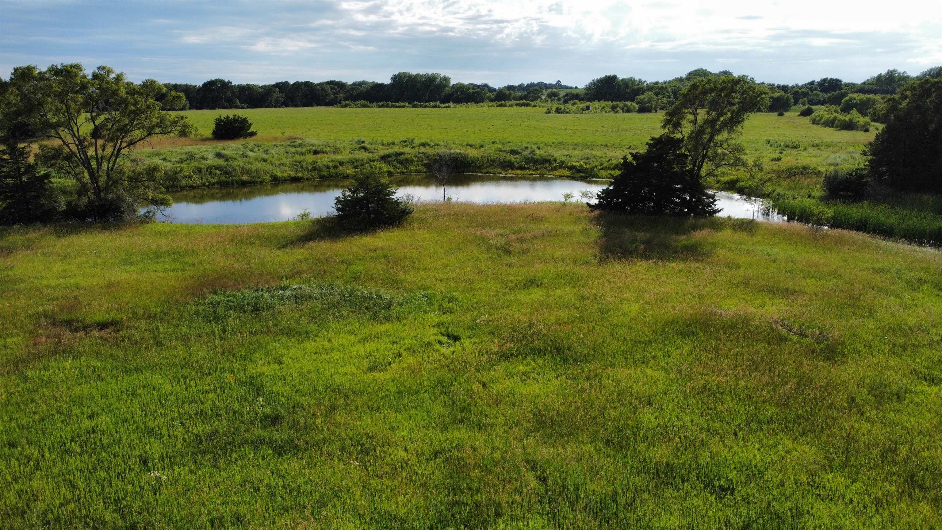 Pierce, Nebraska 68767, United States, ,Land,Active,70411