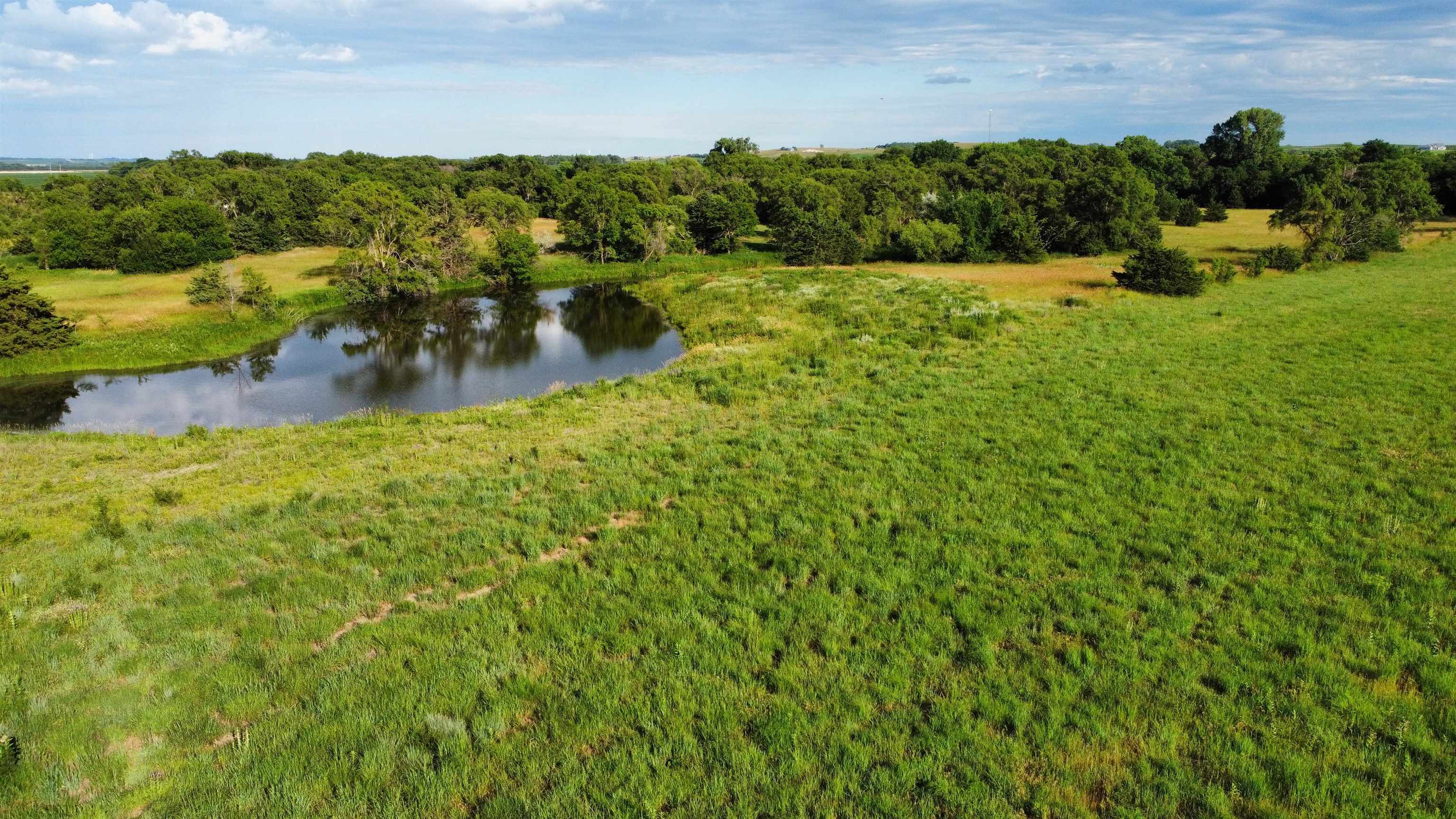 Pierce, Nebraska 68767, United States, ,Land,Active,70411