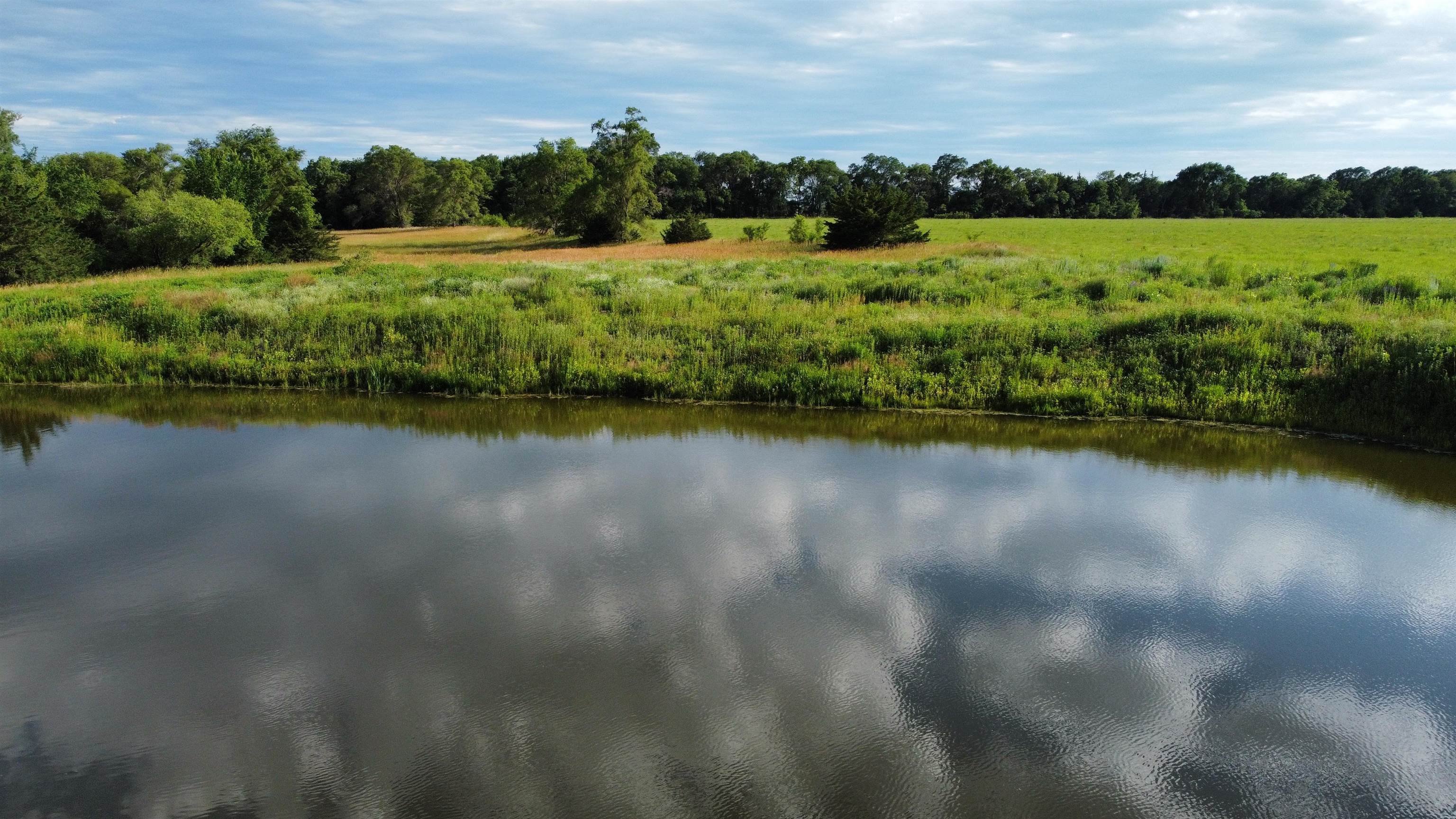 Pierce, Nebraska 68767, United States, ,Land,Active,70411