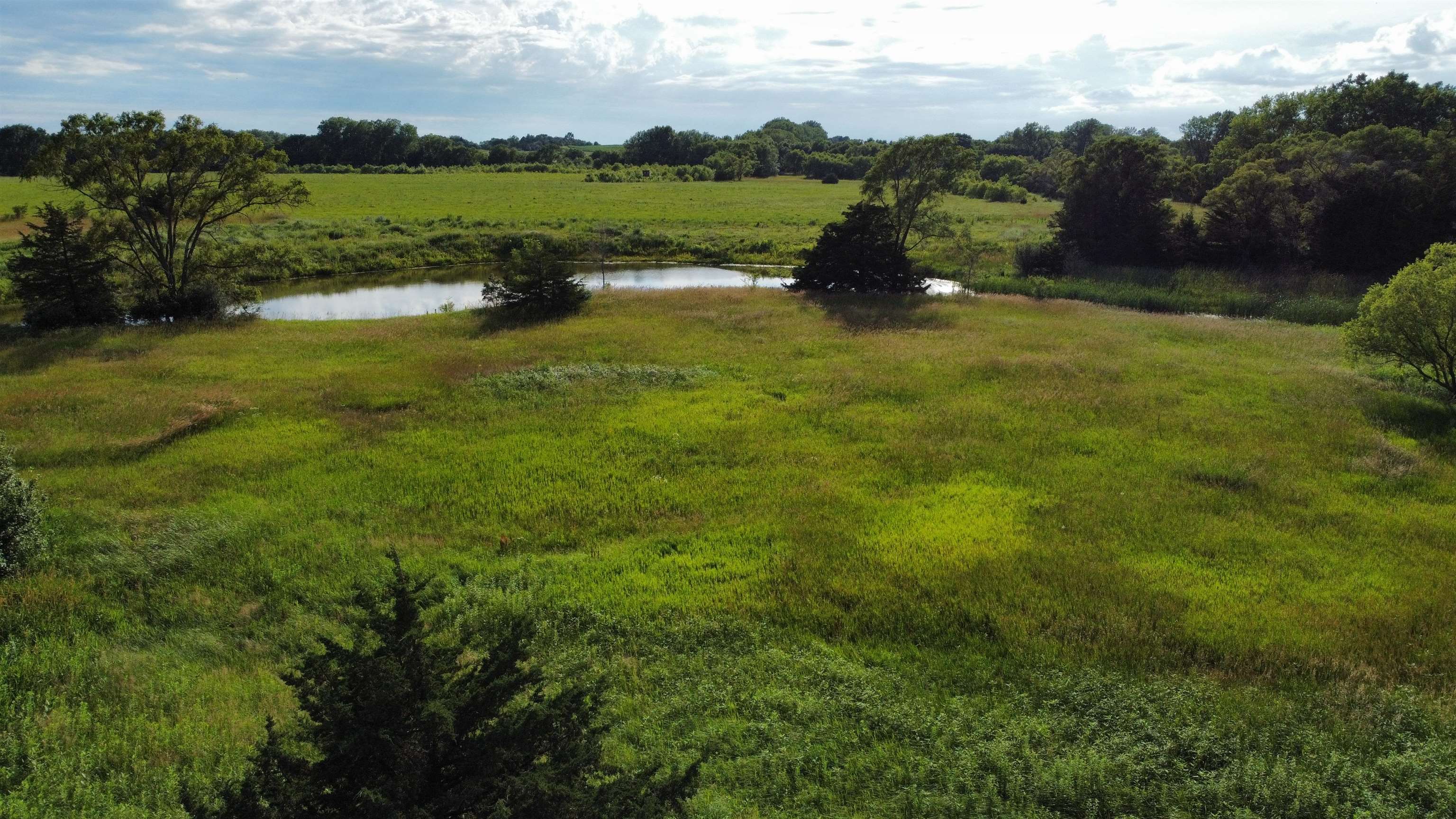 Pierce, Nebraska 68767, United States, ,Land,Active,70411