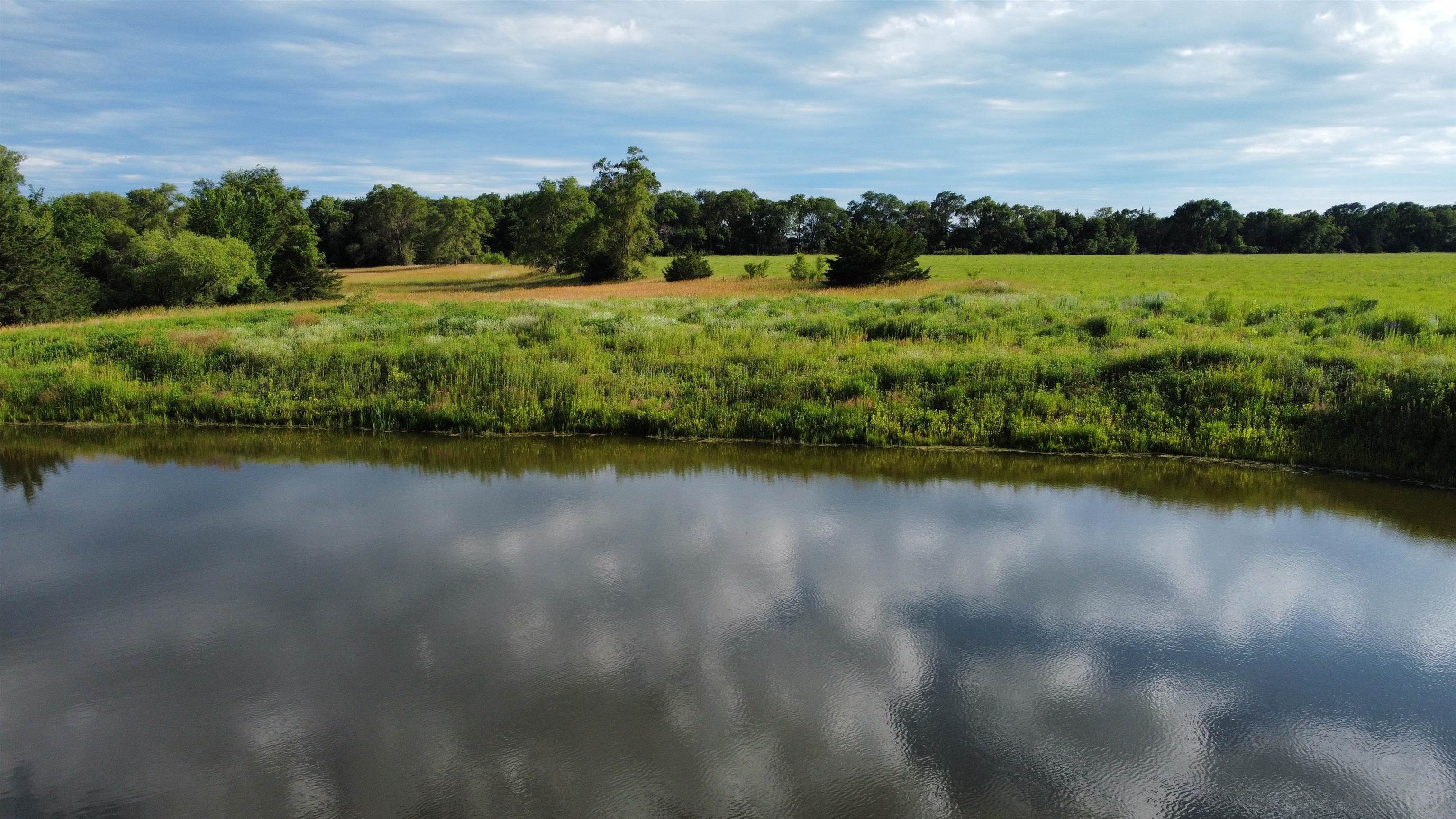 Pierce, Nebraska 68767, United States, ,Land,Active,70411