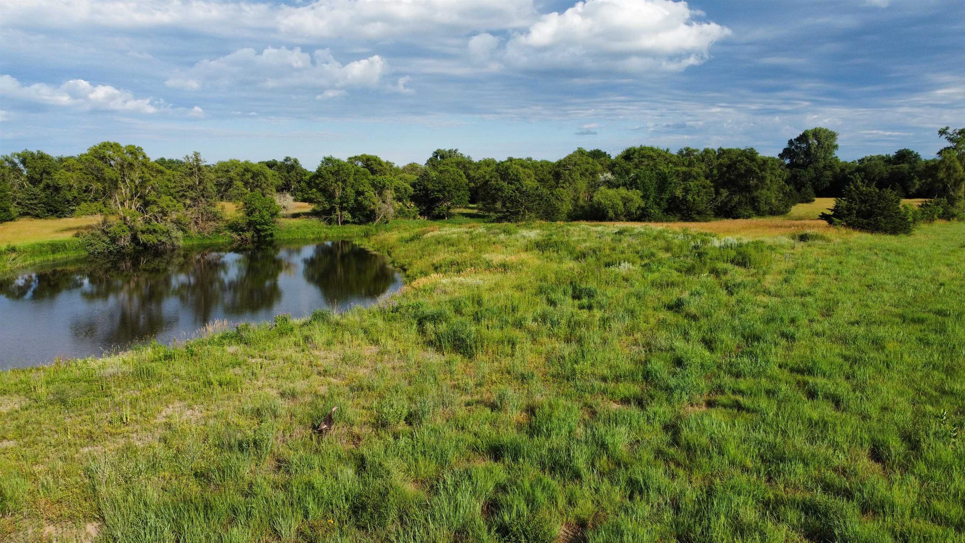 Pierce, Nebraska 68767, United States, ,Land,Active,70411