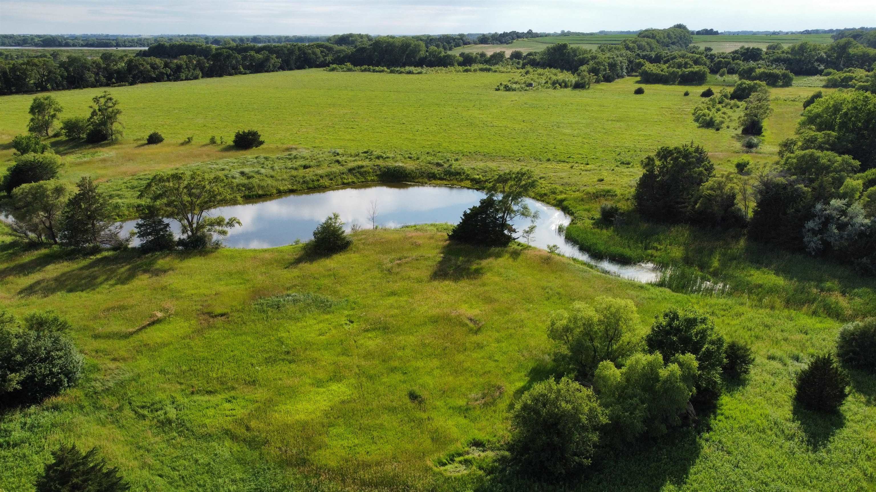 Pierce, Nebraska 68767, United States, ,Land,Active,70411 Pierce, Nebraska 68767, United States, ,Land,Active,70411