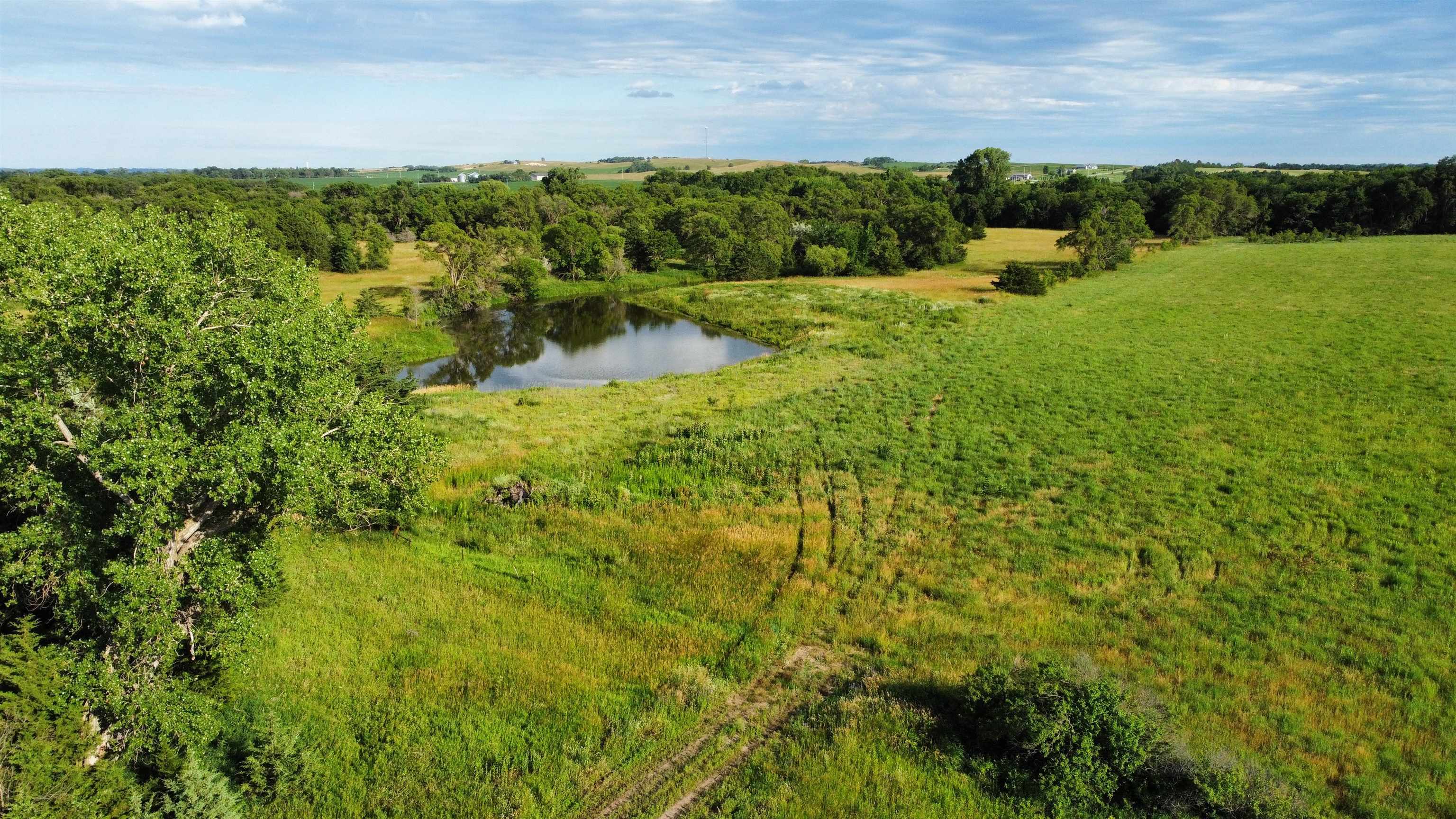 Pierce, Nebraska 68767, United States, ,Land,Active,70411
