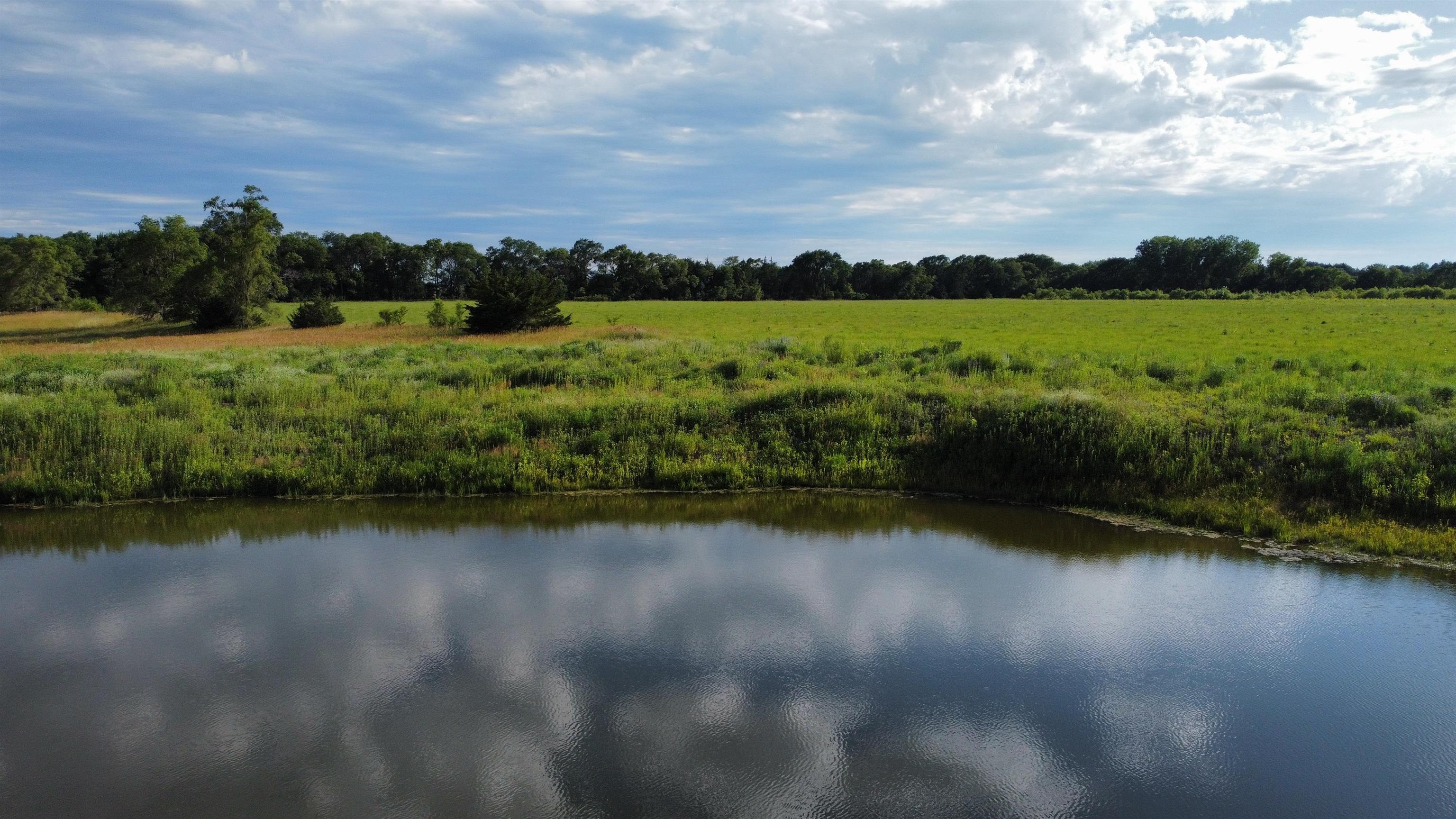 Pierce, Nebraska 68767, United States, ,Land,Active,70411