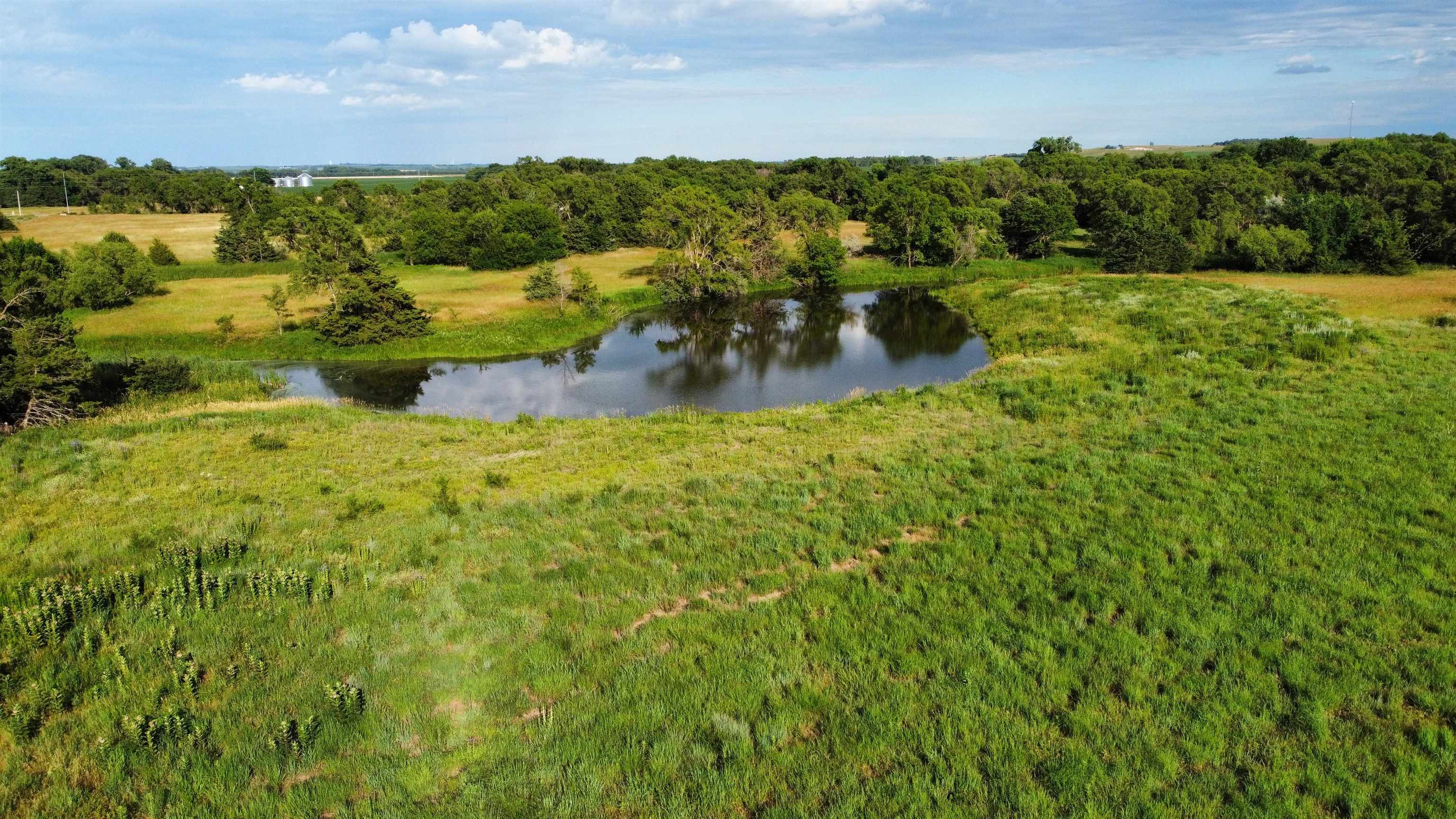 Pierce, Nebraska 68767, United States, ,Land,Active,70411