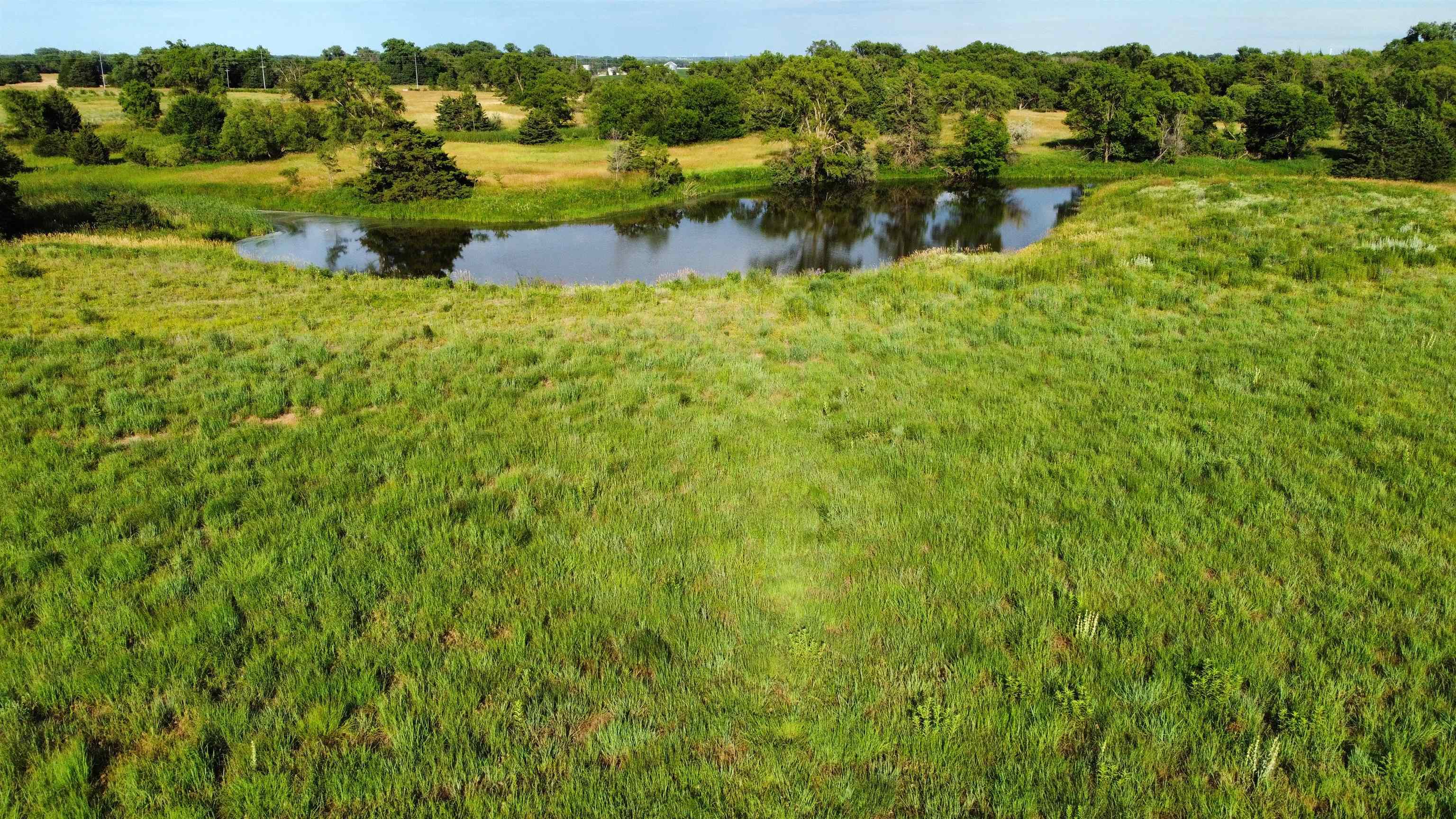 Pierce, Nebraska 68767, United States, ,Land,Active,70411