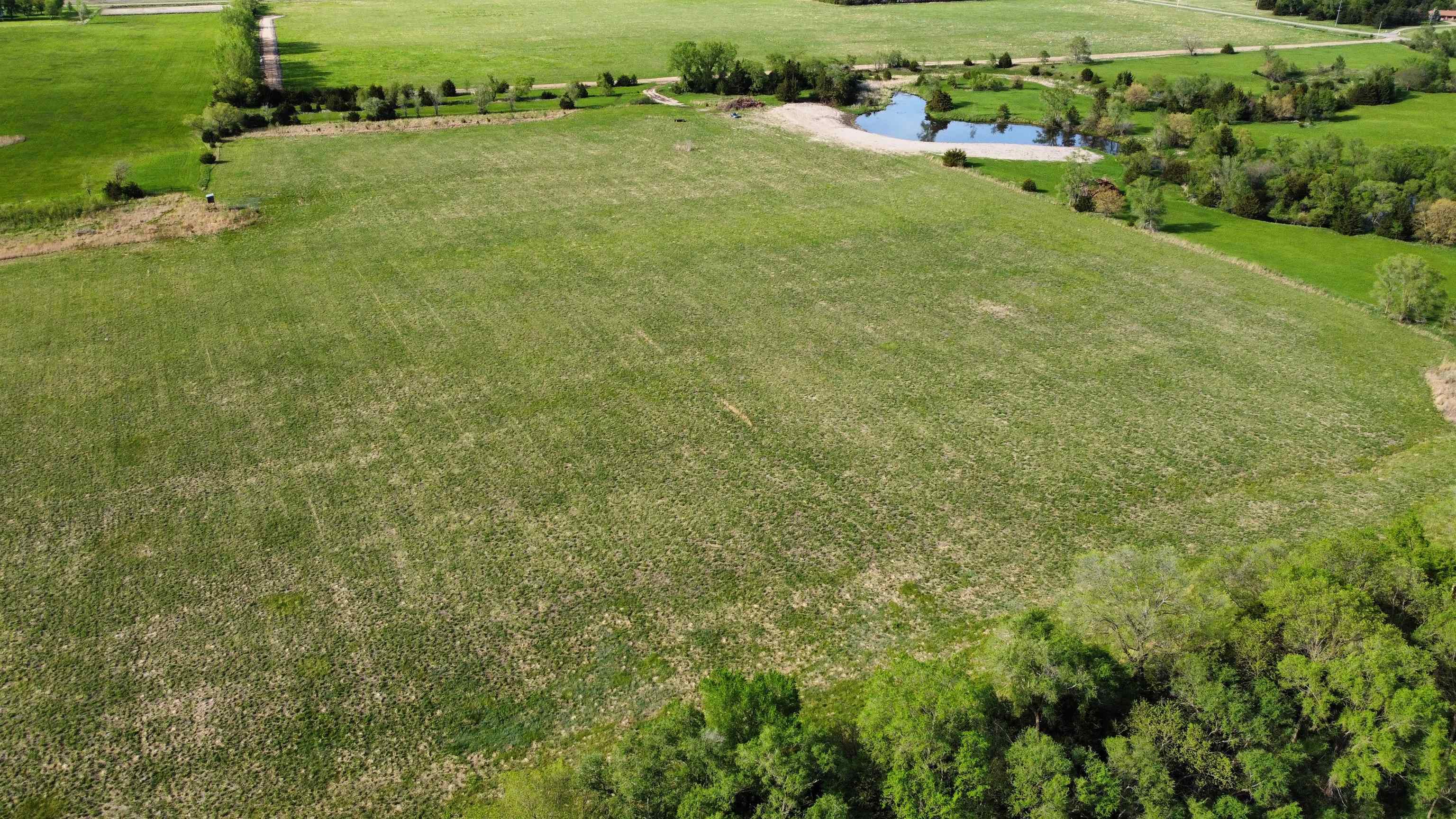 Pierce, Nebraska 68767, United States, ,Land,Active,70411