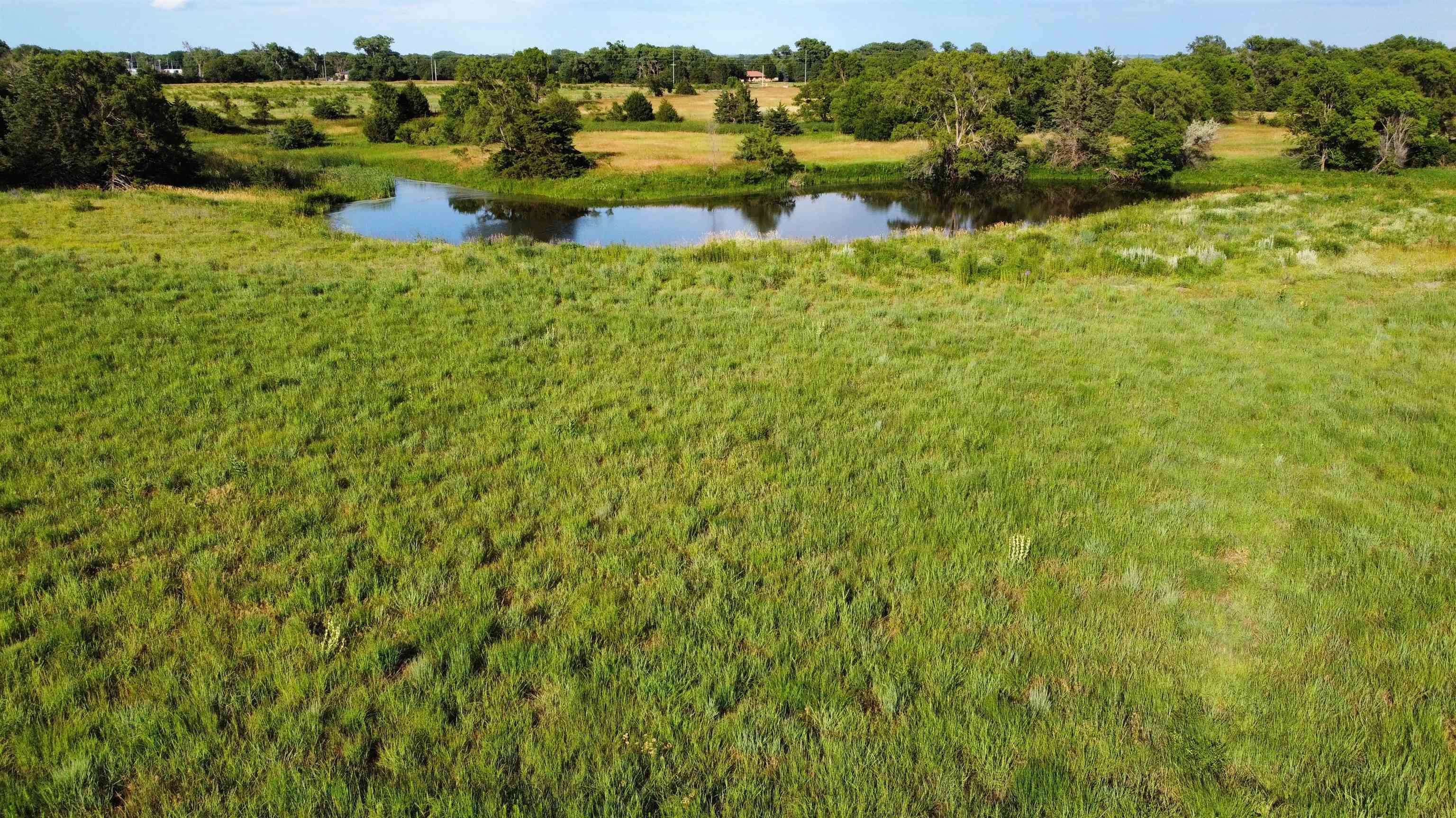 Pierce, Nebraska 68767, United States, ,Land,Active,70411