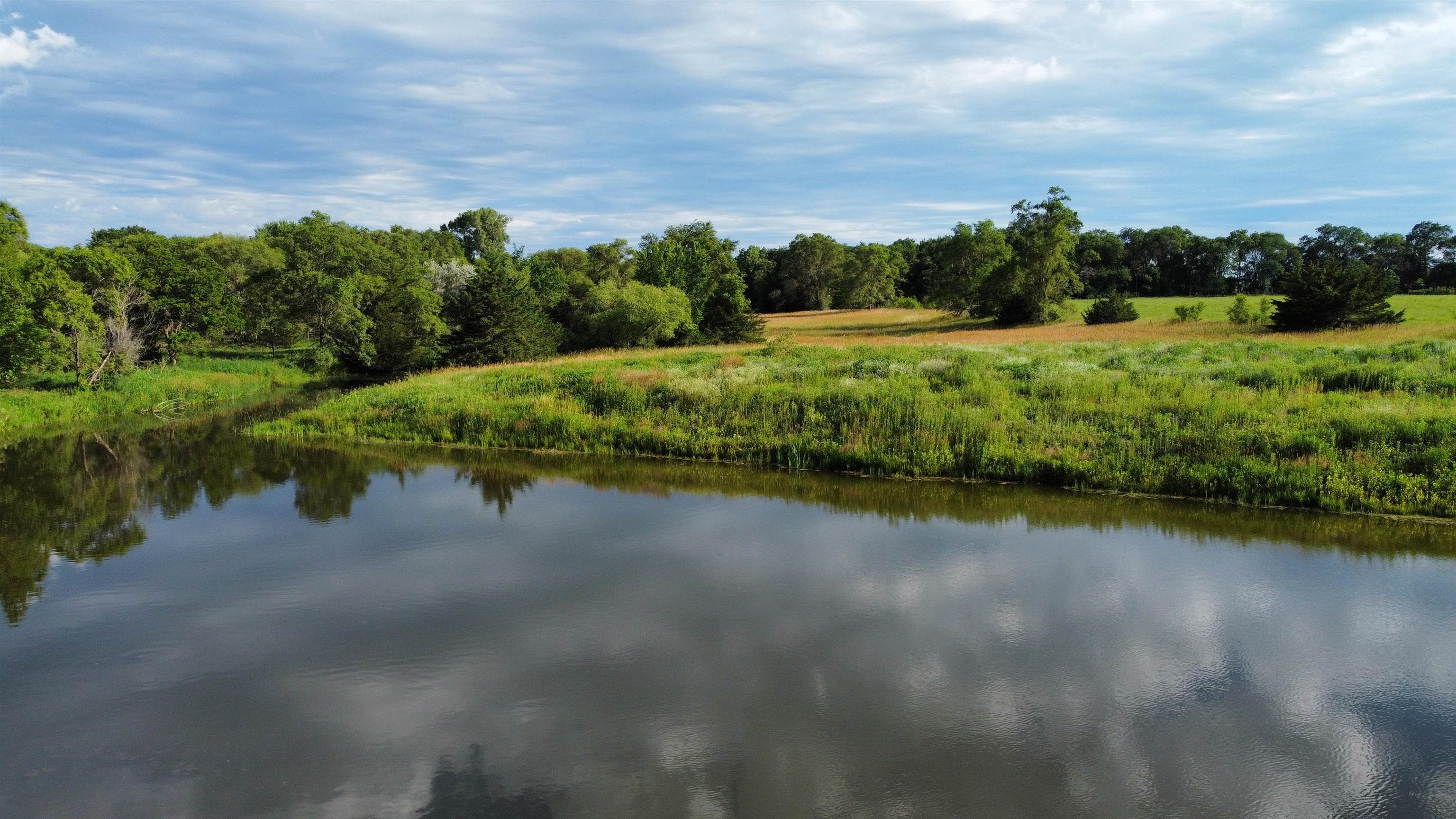 Pierce, Nebraska 68767, United States, ,Land,Active,70411