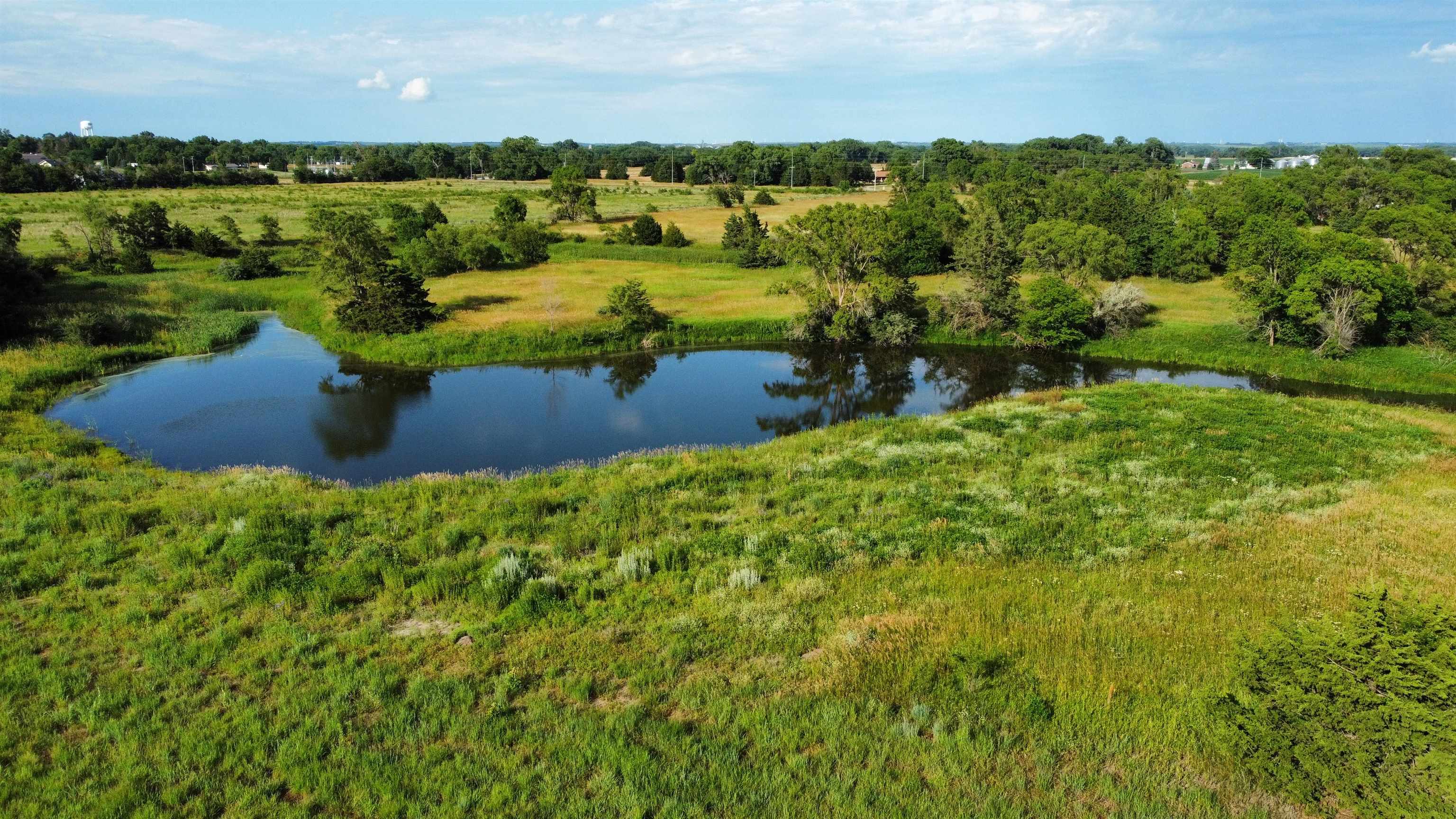 Pierce, Nebraska 68767, United States, ,Land,Active,70411