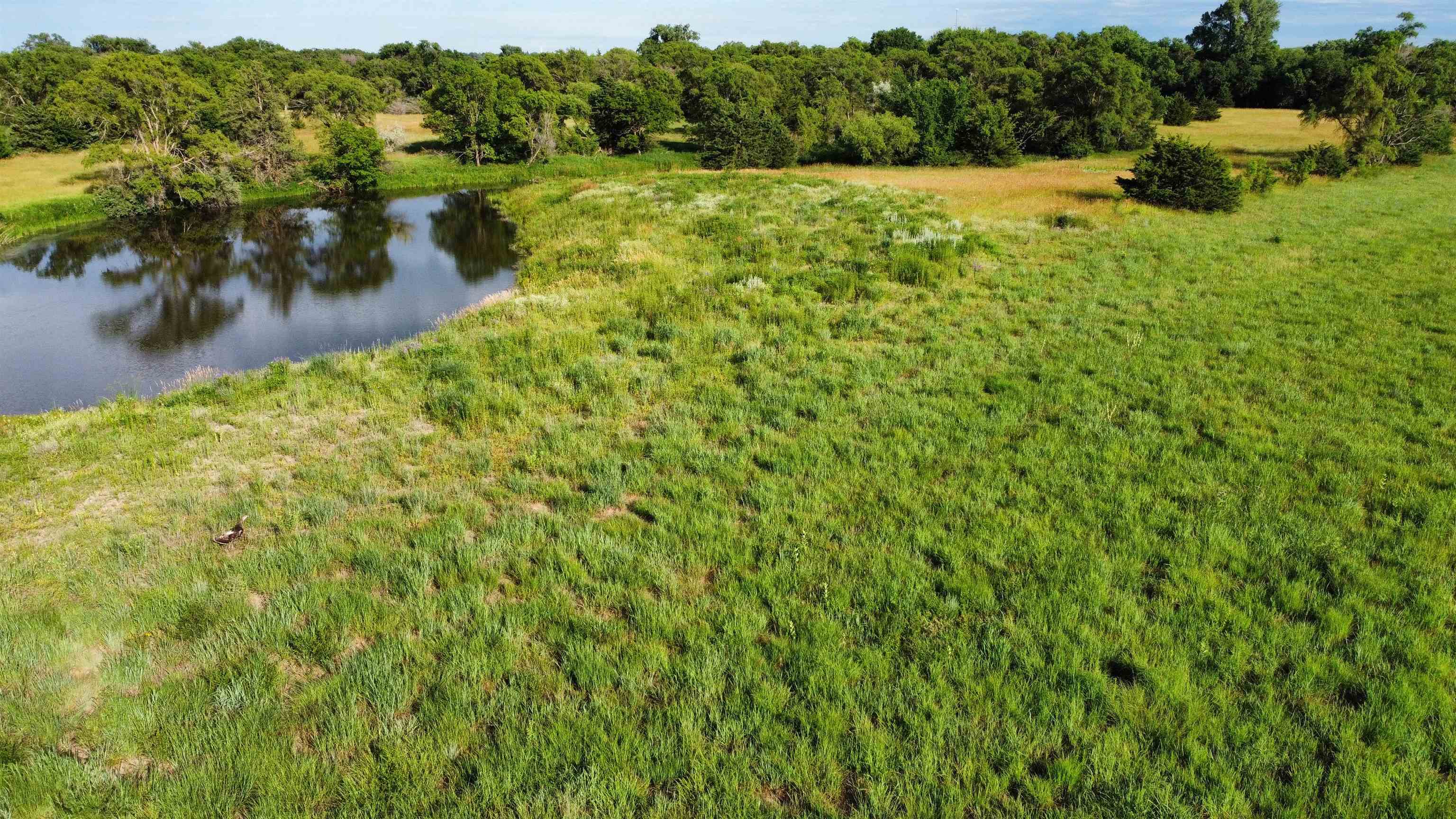 Pierce, Nebraska 68767, United States, ,Land,Active,70411