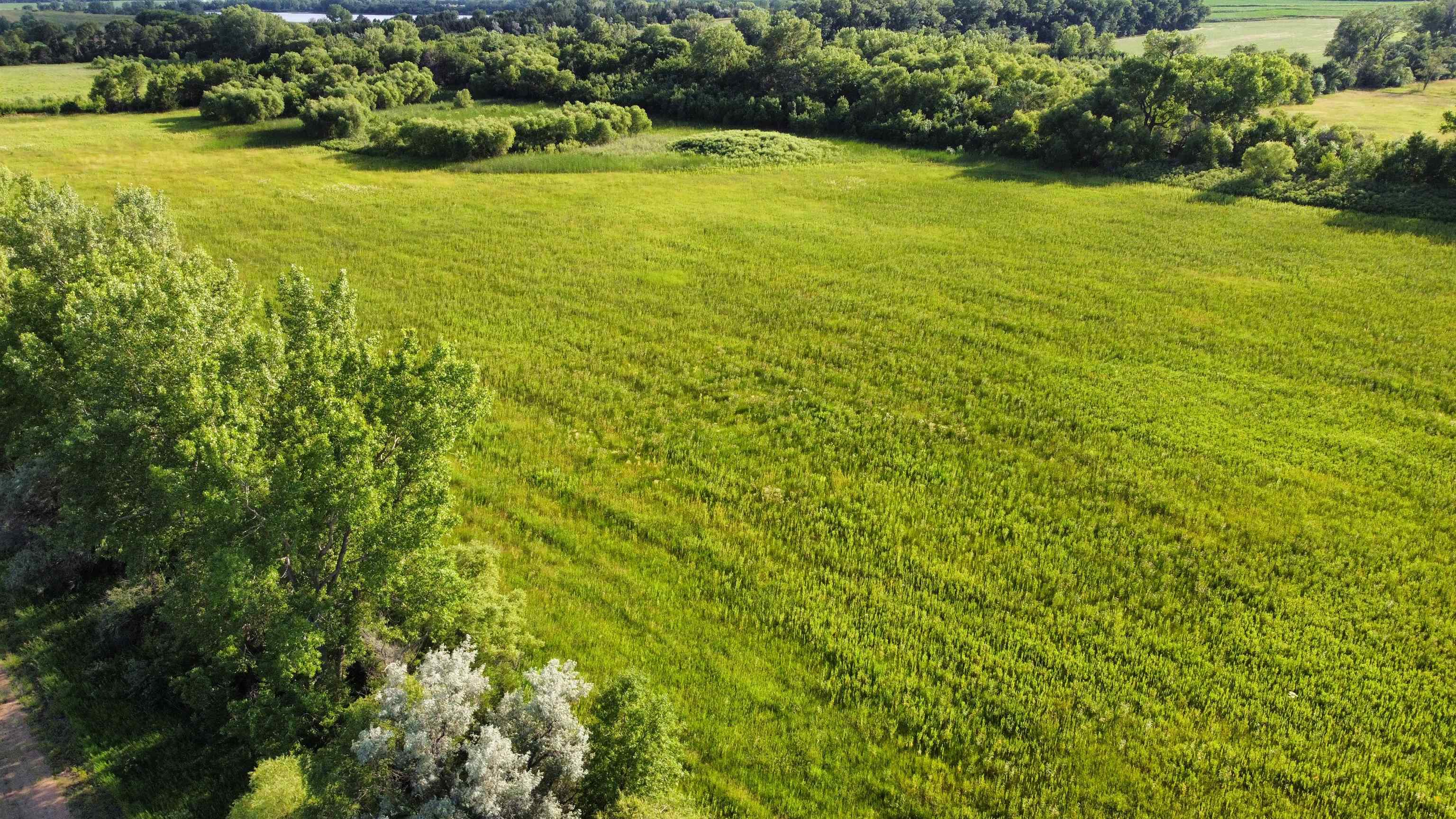 Pierce, Nebraska 68767, United States, ,Land,Active,53328