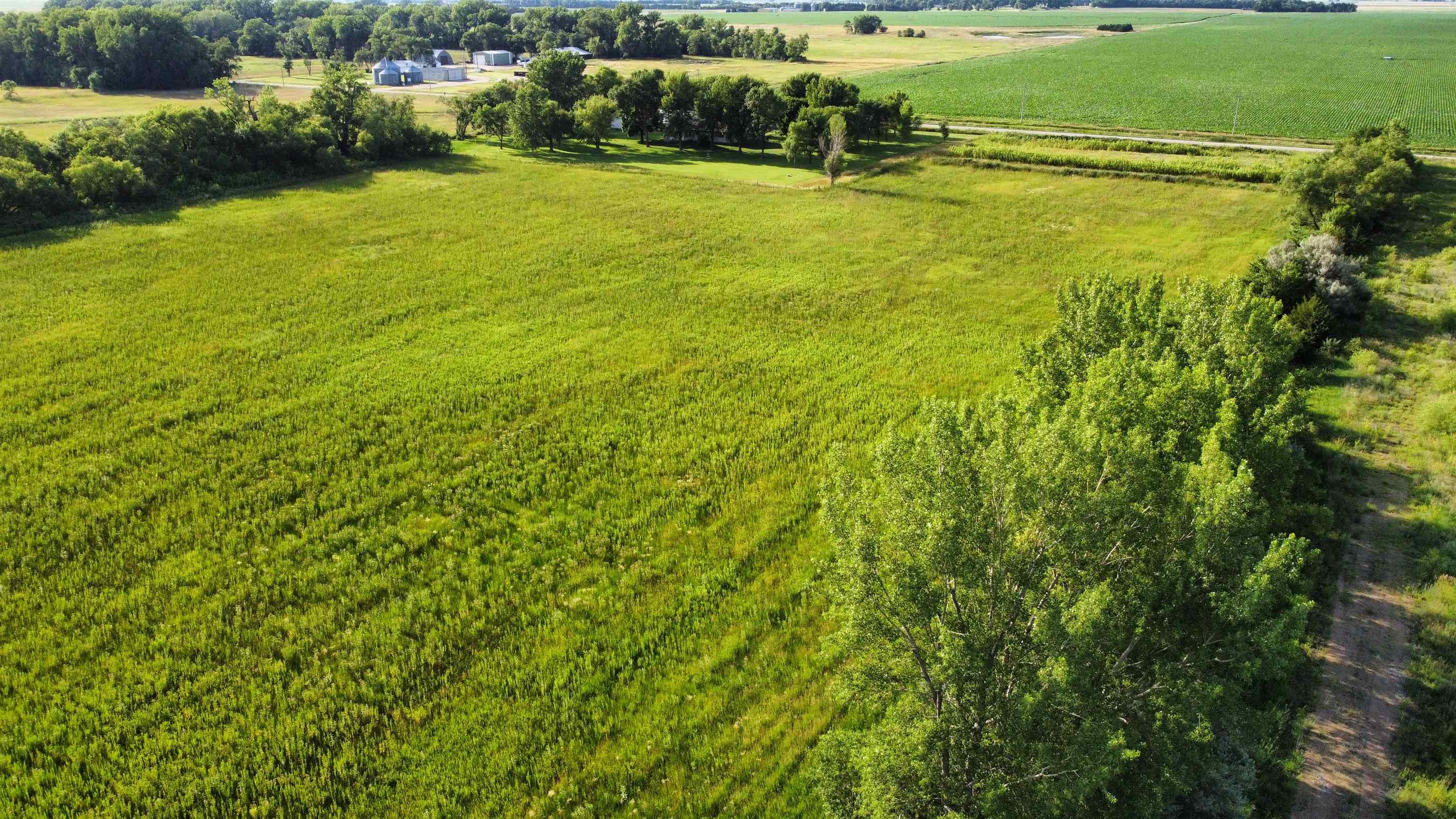 Pierce, Nebraska 68767, United States, ,Land,Active,53328
