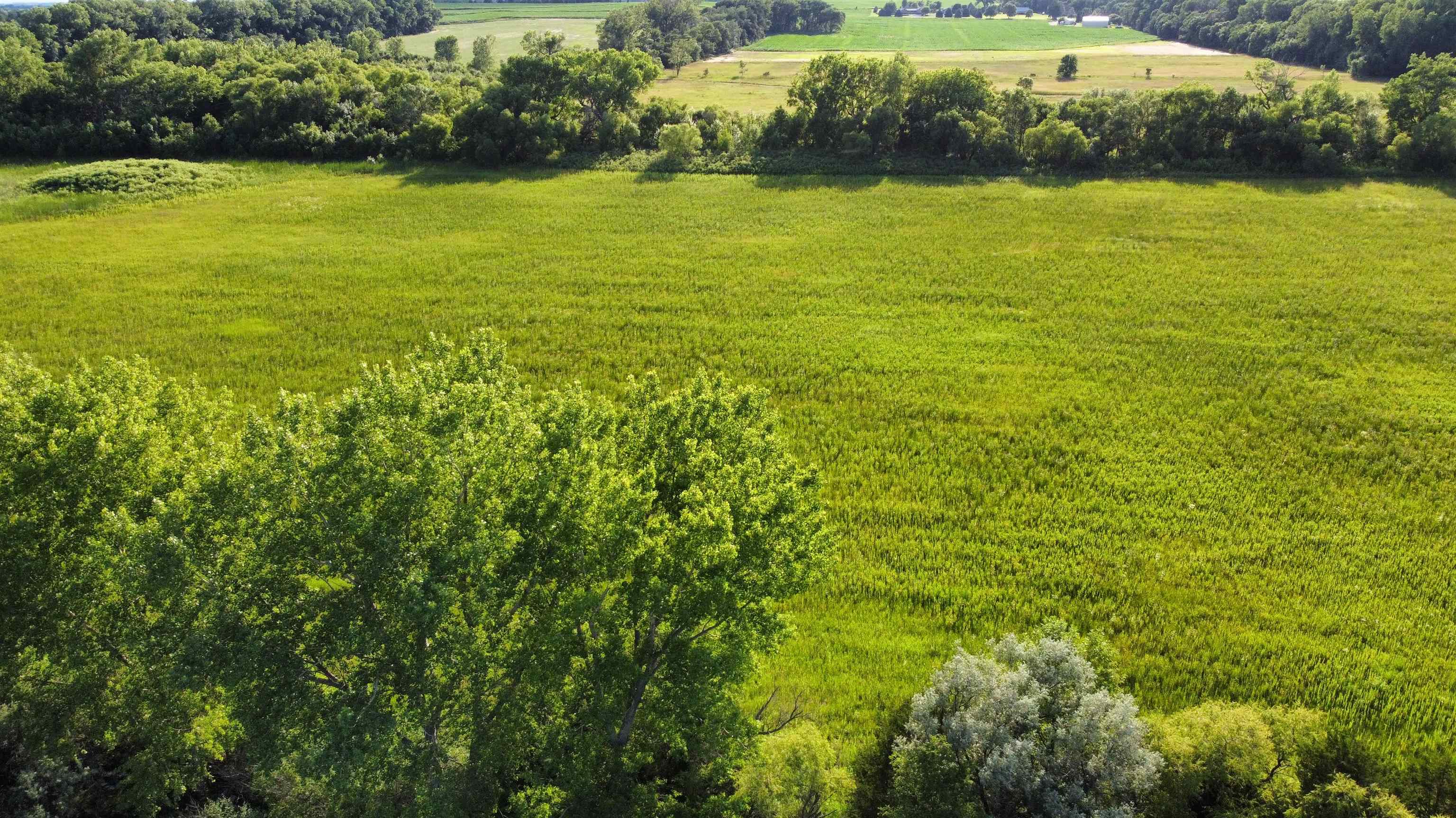 Pierce, Nebraska 68767, United States, ,Land,Active,53328