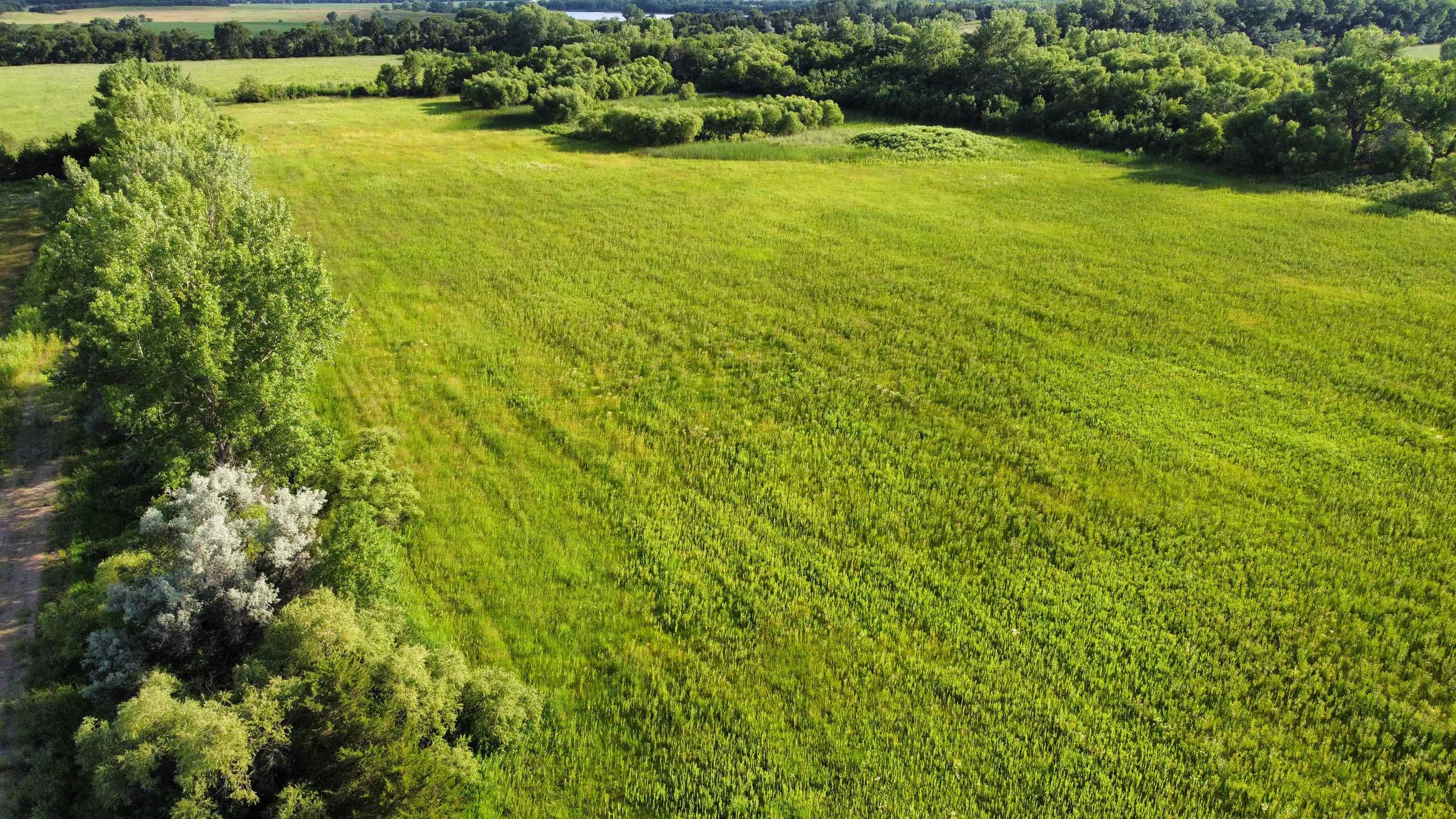 Pierce, Nebraska 68767, United States, ,Land,Active,53328