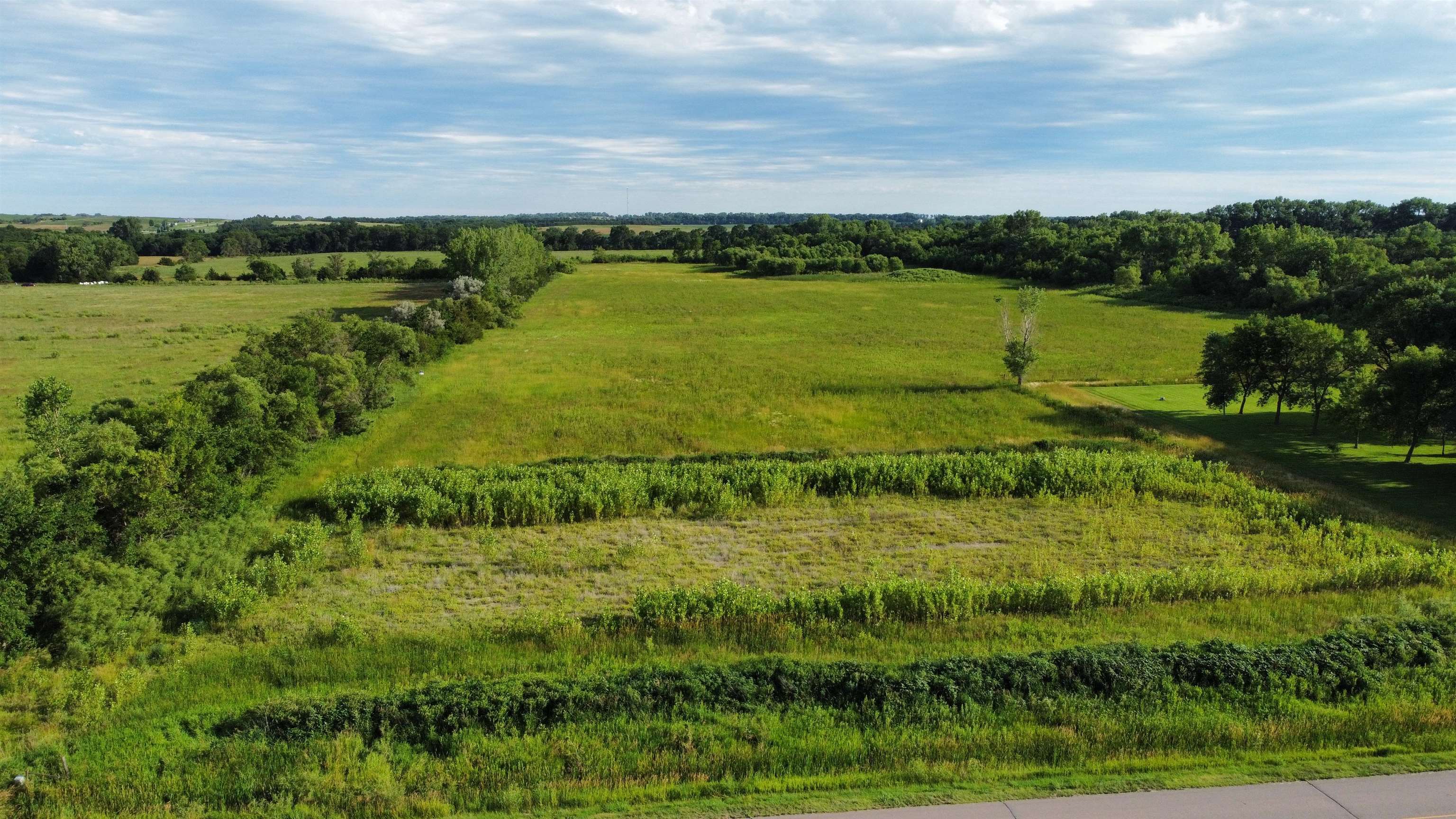 Pierce, Nebraska 68767, United States, ,Land,Active,53328