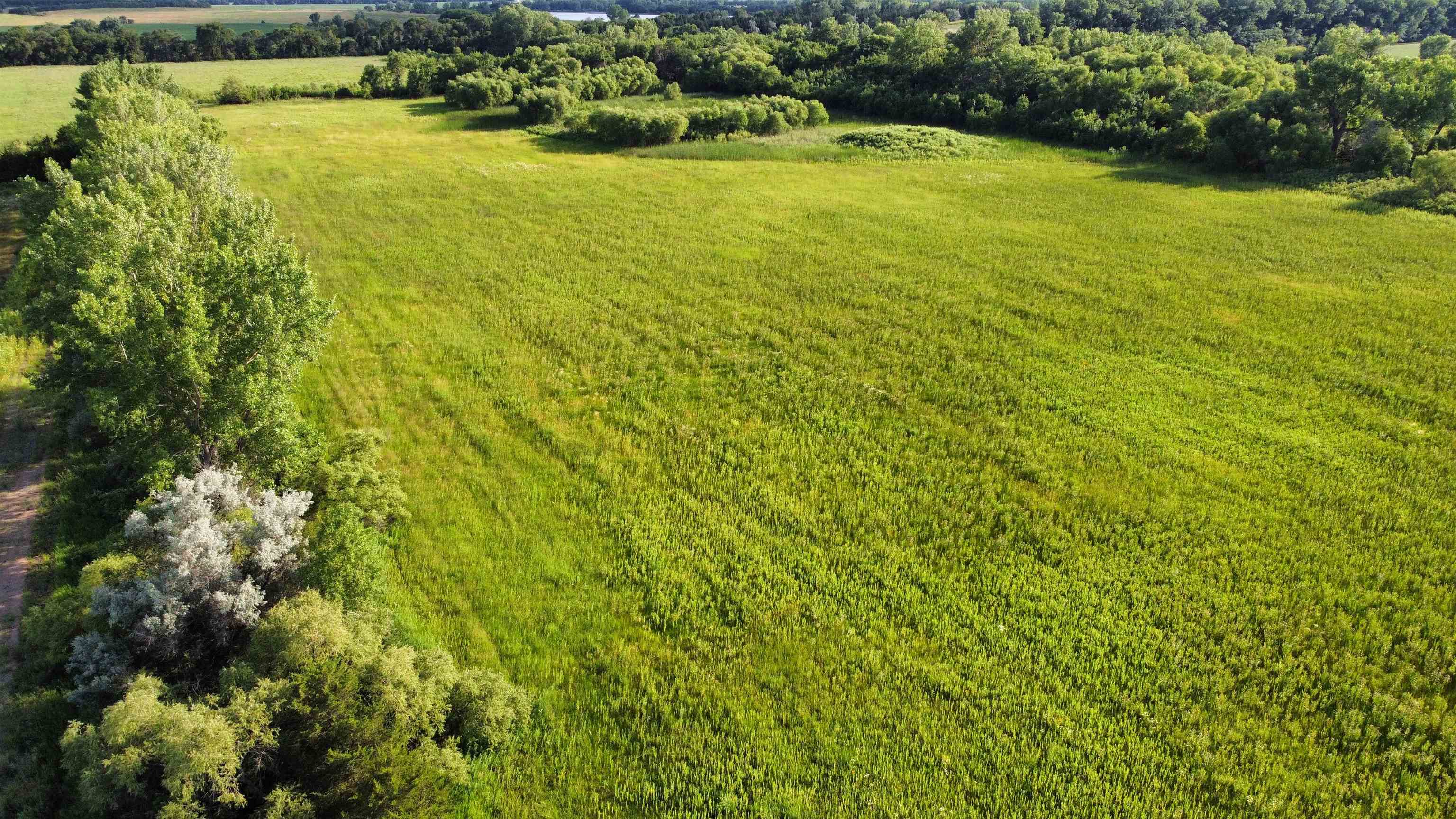 Pierce, Nebraska 68767, United States, ,Land,Active,53328