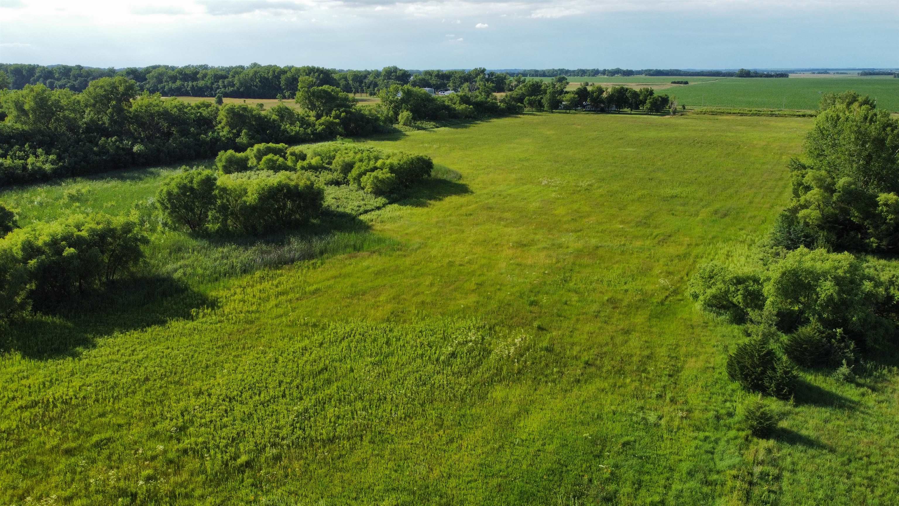 Pierce, Nebraska 68767, United States, ,Land,Active,53328