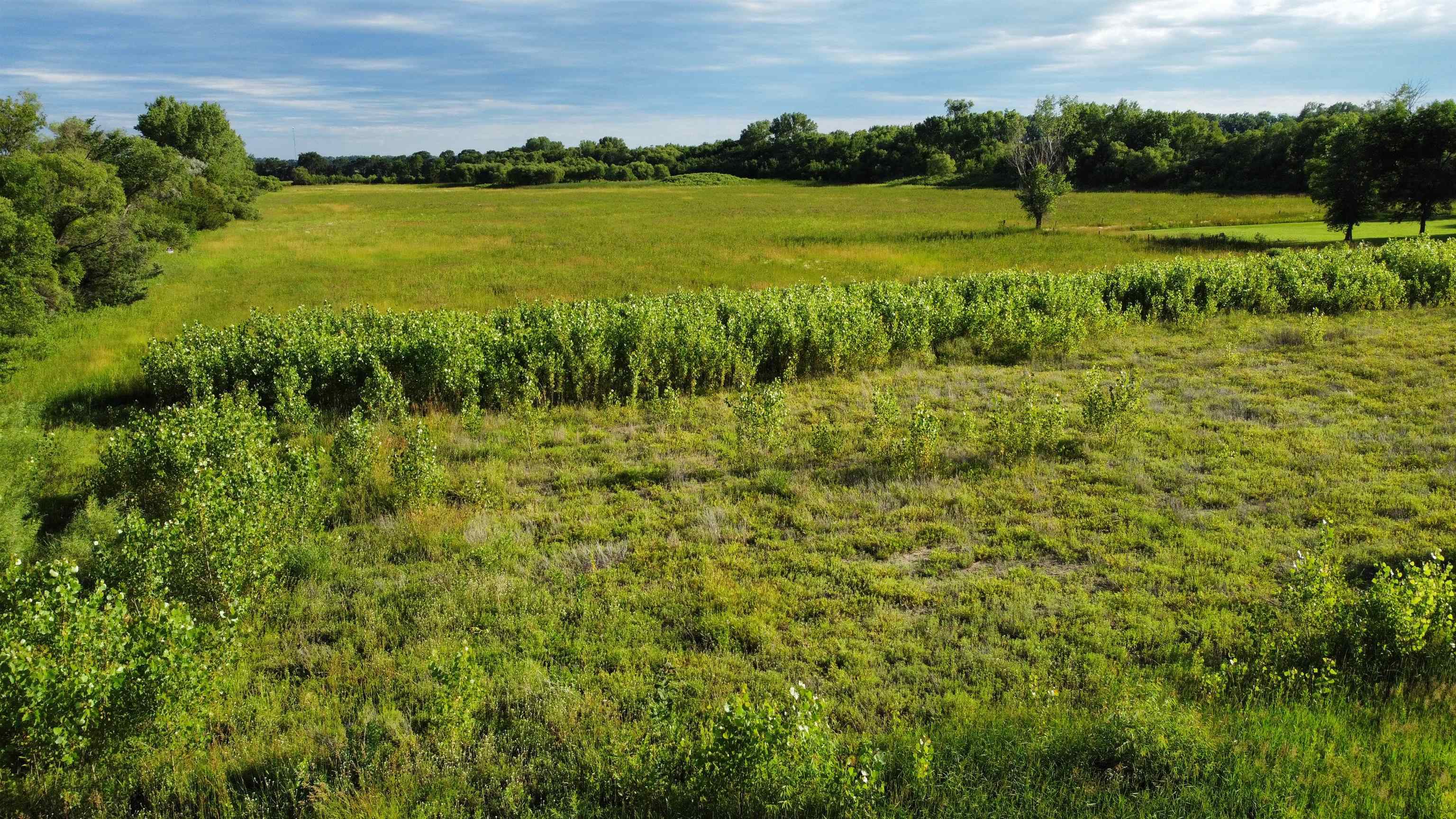 Pierce, Nebraska 68767, United States, ,Land,Active,53328