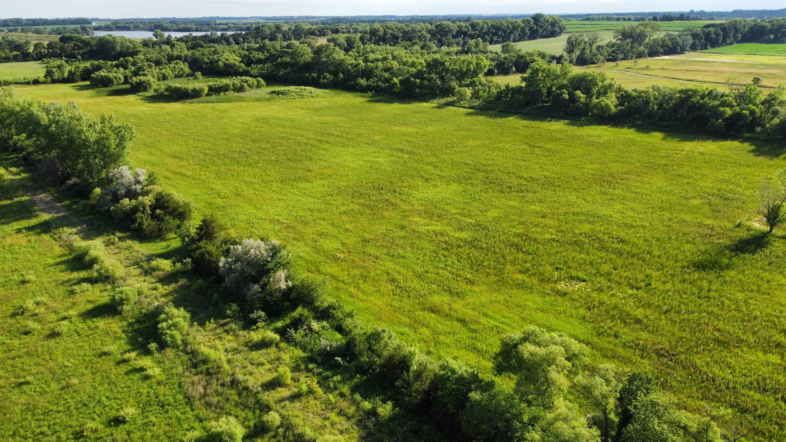 Pierce, Nebraska 68767, United States, ,Land,Active,53328