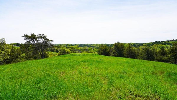 SEE LEGAL LOT 302, CROFTON, NE 68730 - Image b3f3c83bce25cb40c625f459b940219e/121899219