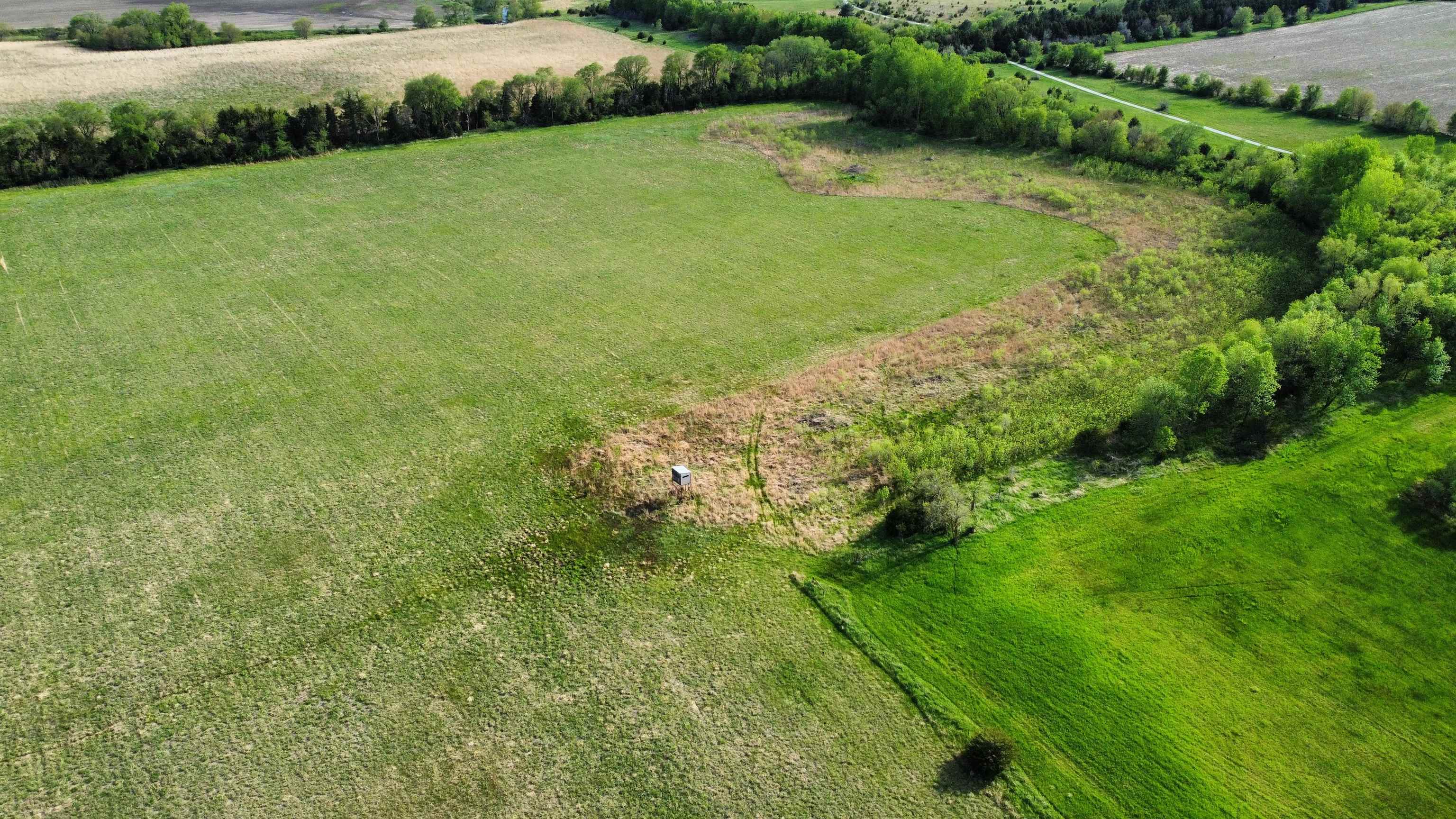 Pierce, Nebraska 68767, United States, ,Land,Active,70412