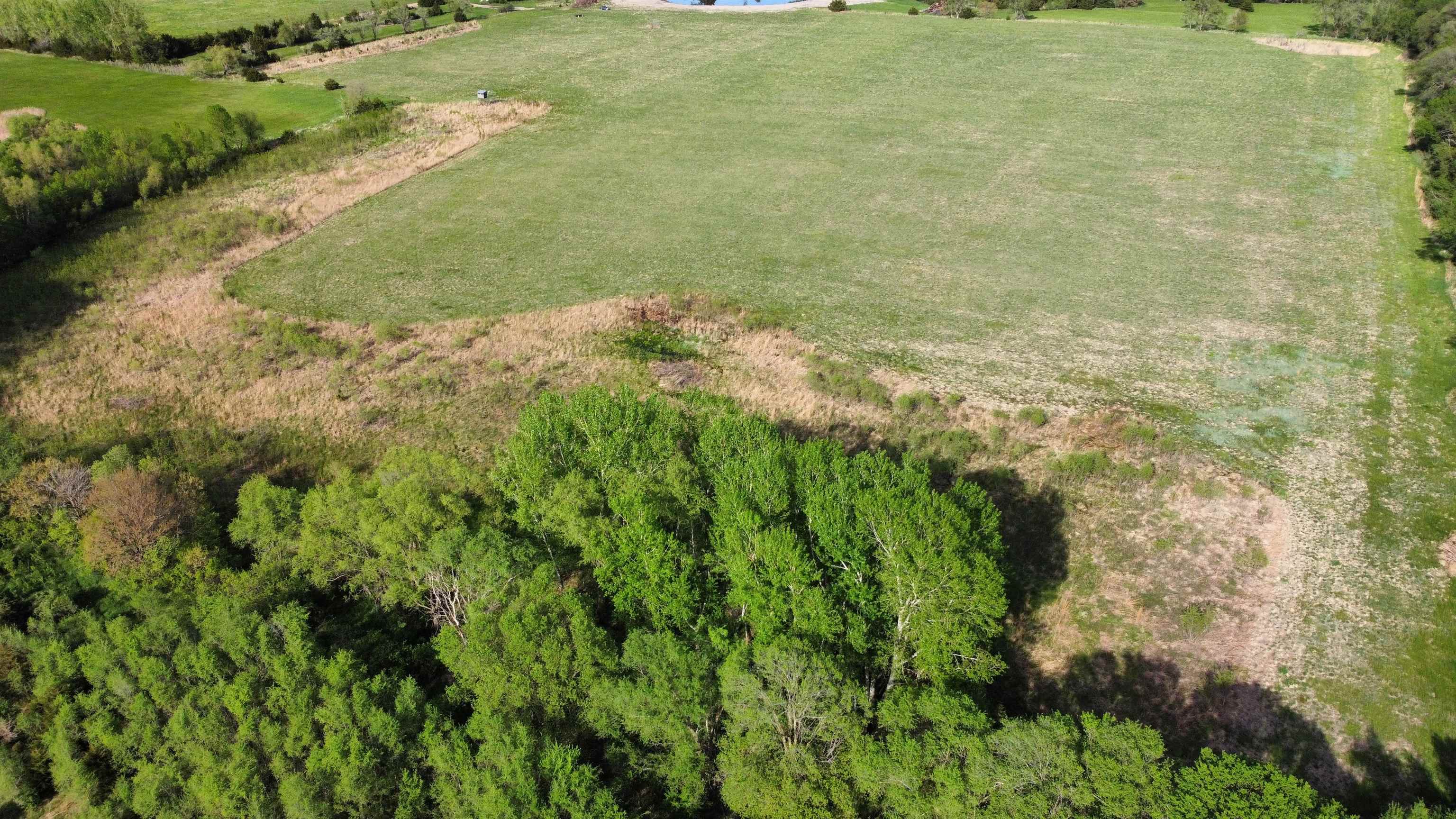 Pierce, Nebraska 68767, United States, ,Land,Active,70412