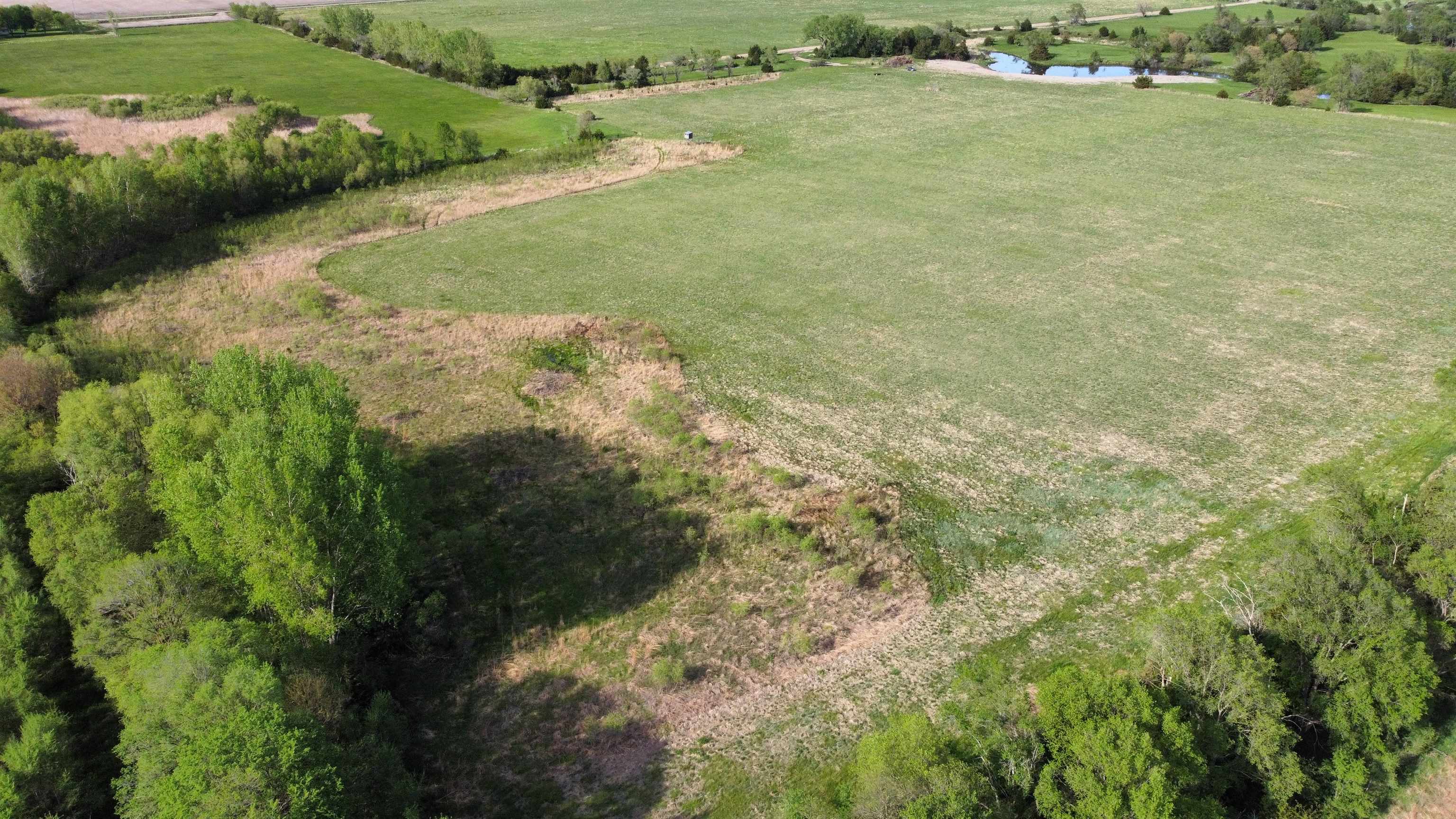 Pierce, Nebraska 68767, United States, ,Land,Active,70412