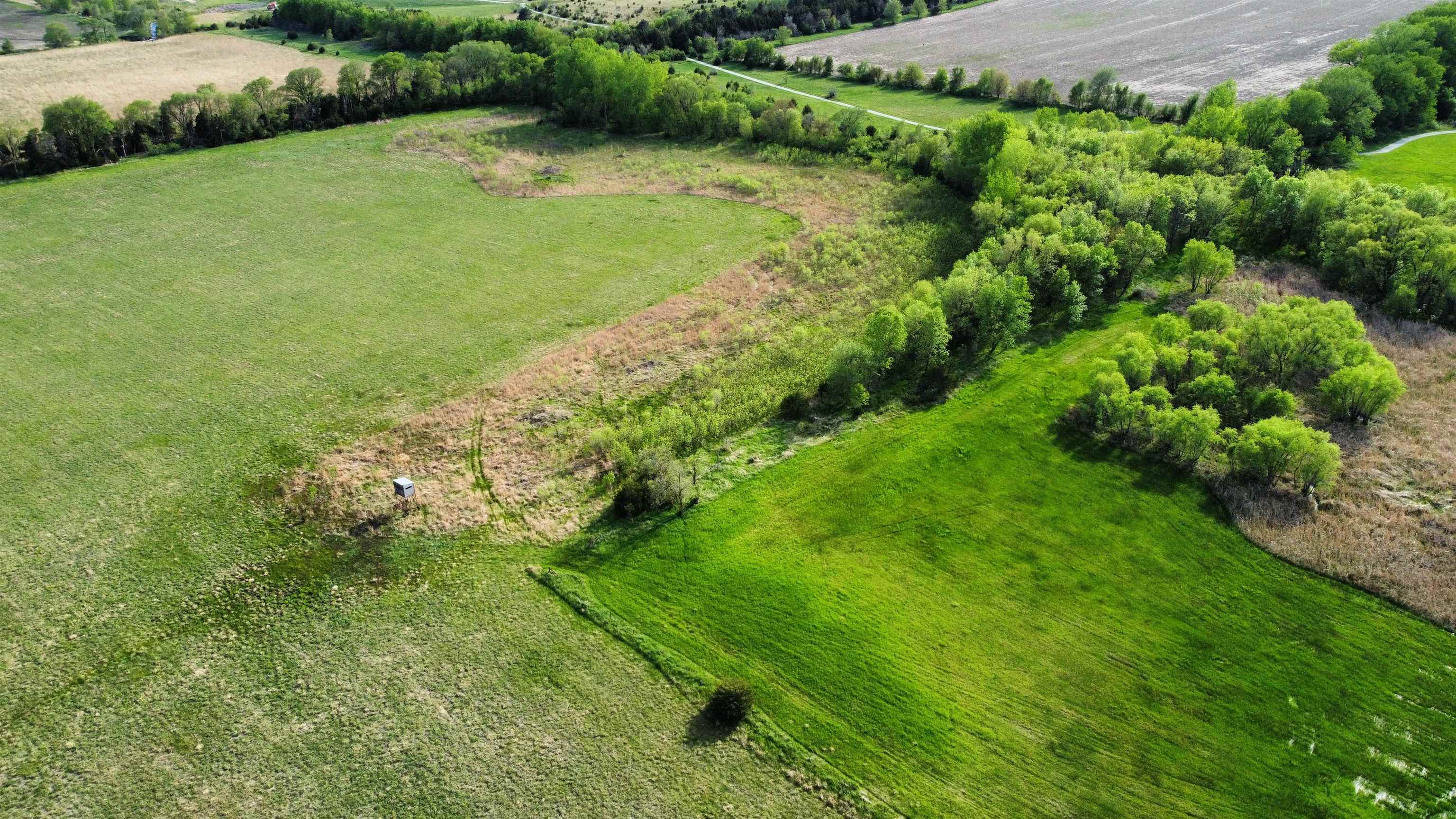 Pierce, Nebraska 68767, United States, ,Land,Active,70412