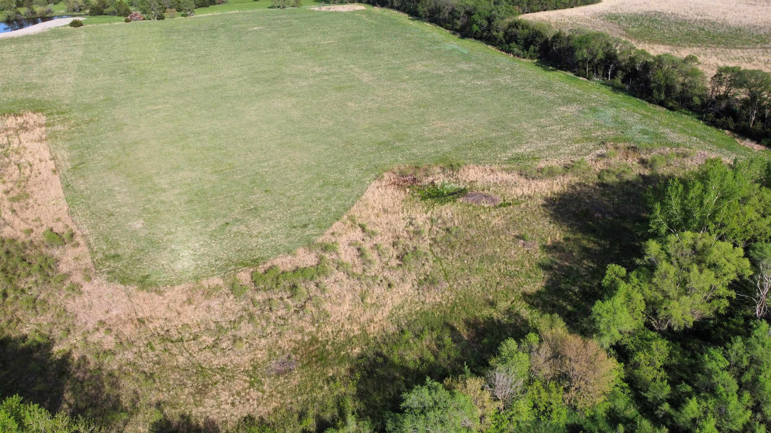 Pierce, Nebraska 68767, United States, ,Land,Active,70412