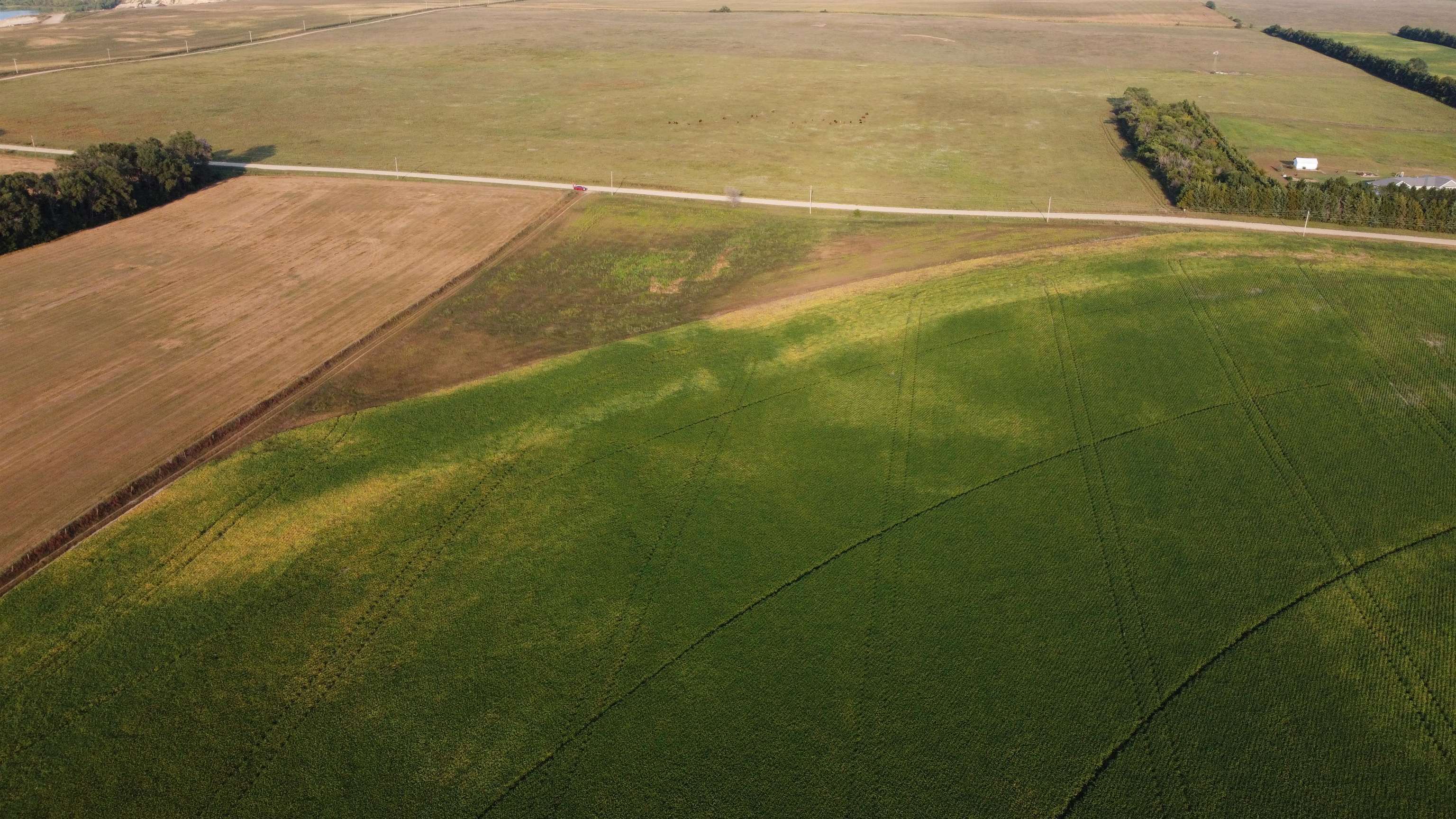 Pierce, Nebraska 68767, United States, ,Land,Active,209130