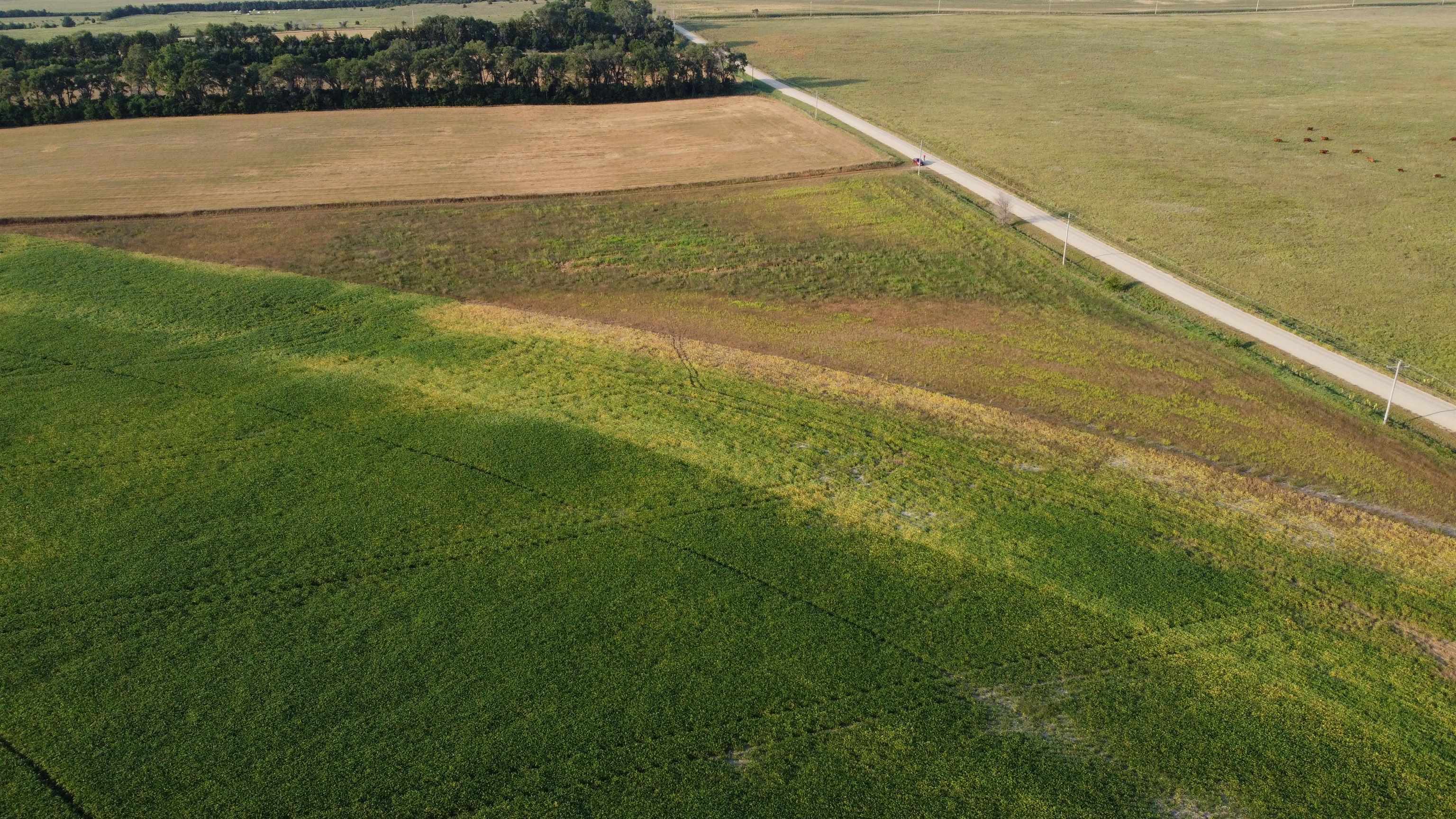 Pierce, Nebraska 68767, United States, ,Land,Active,209130